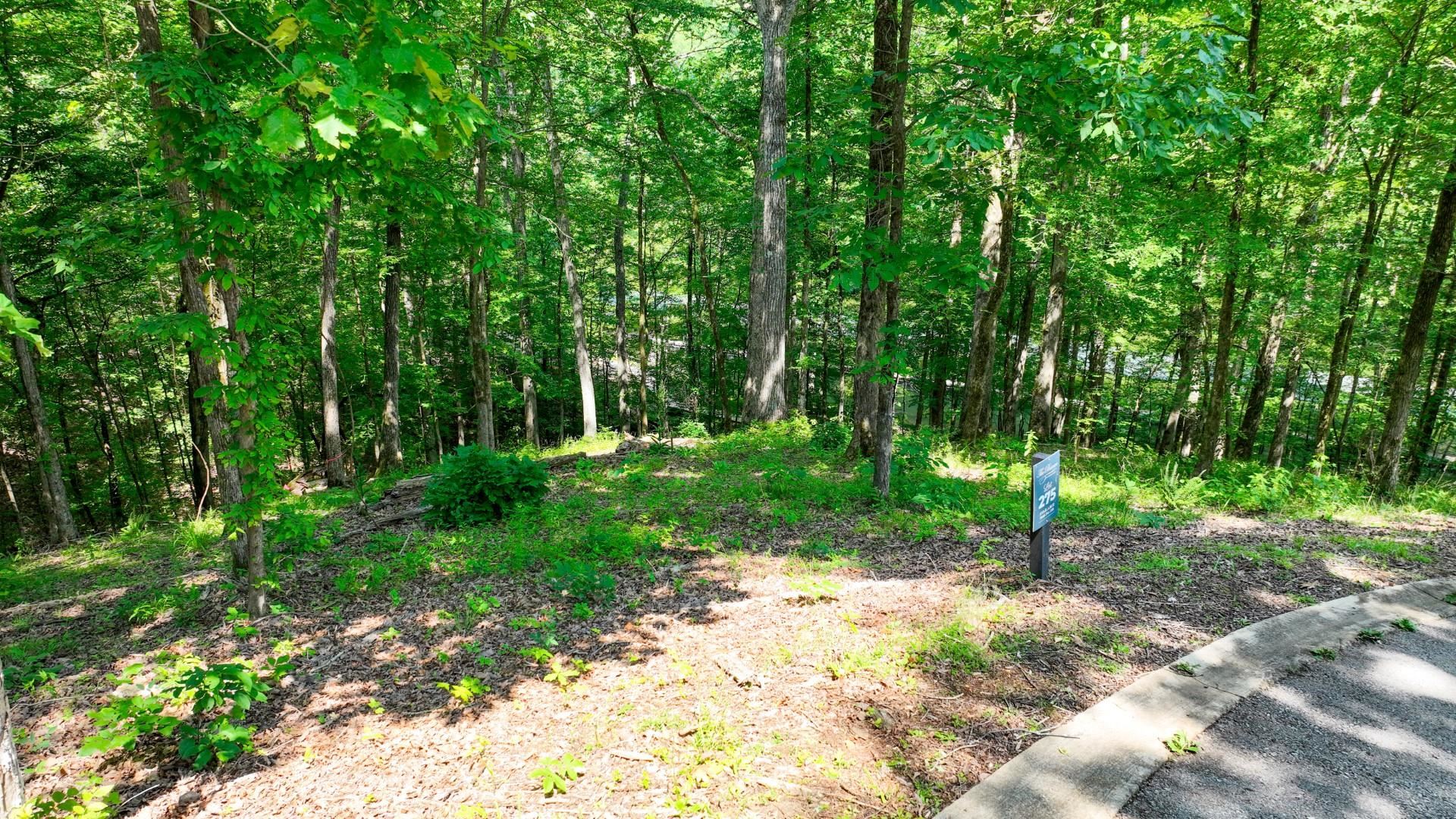 Lot 274 & 275 Secluded Loop Property Photo 17