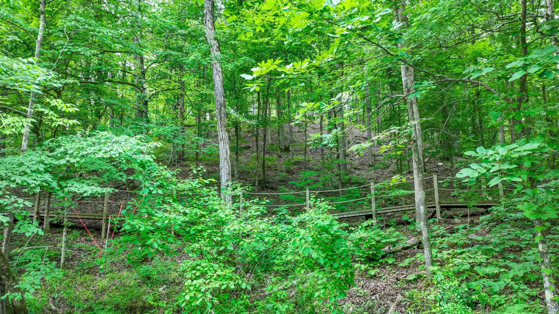 Lot 274 & 275 Secluded Loop Property Photo 18