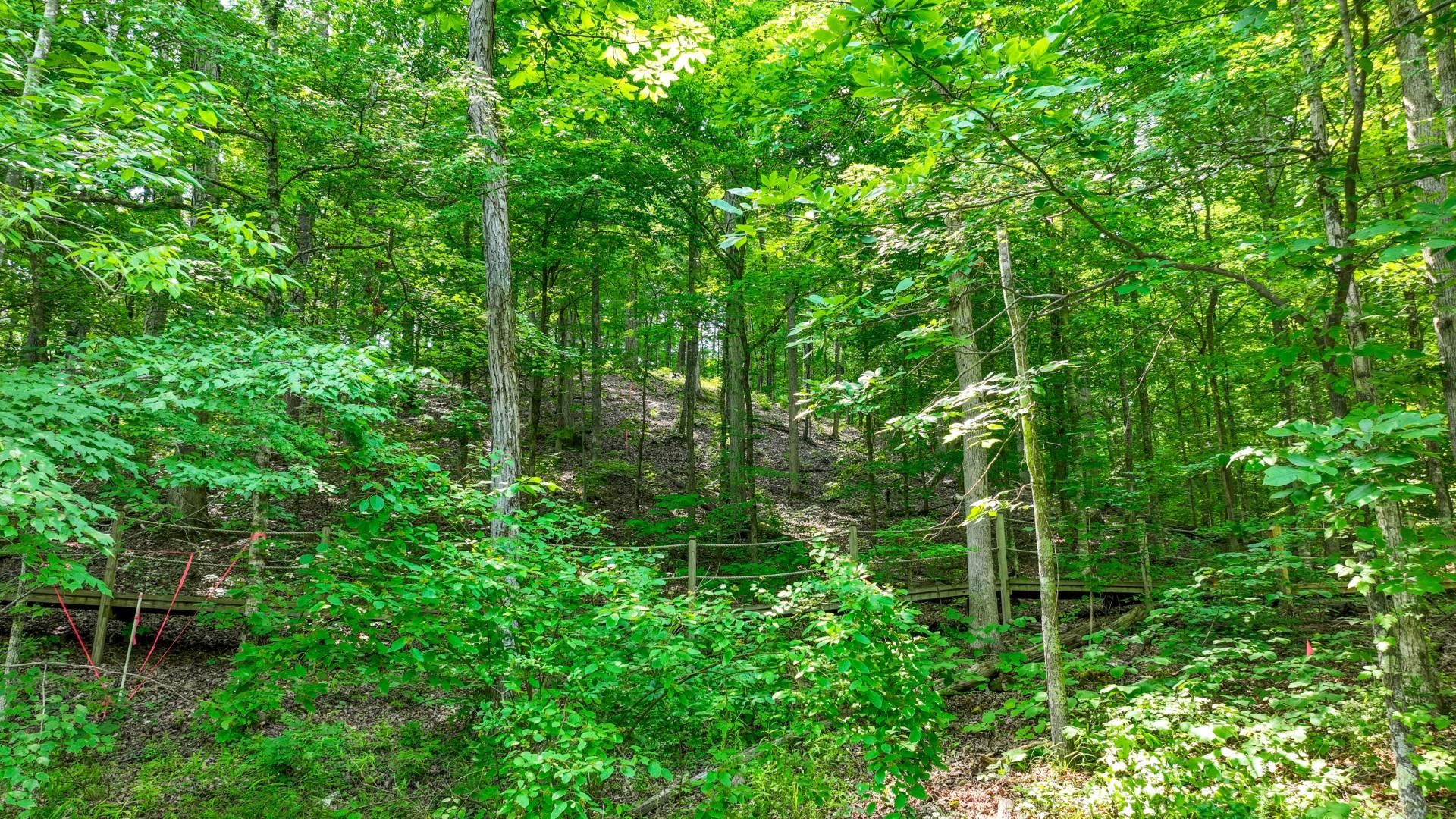 Lot 274 & 275 Secluded Loop Property Photo 19