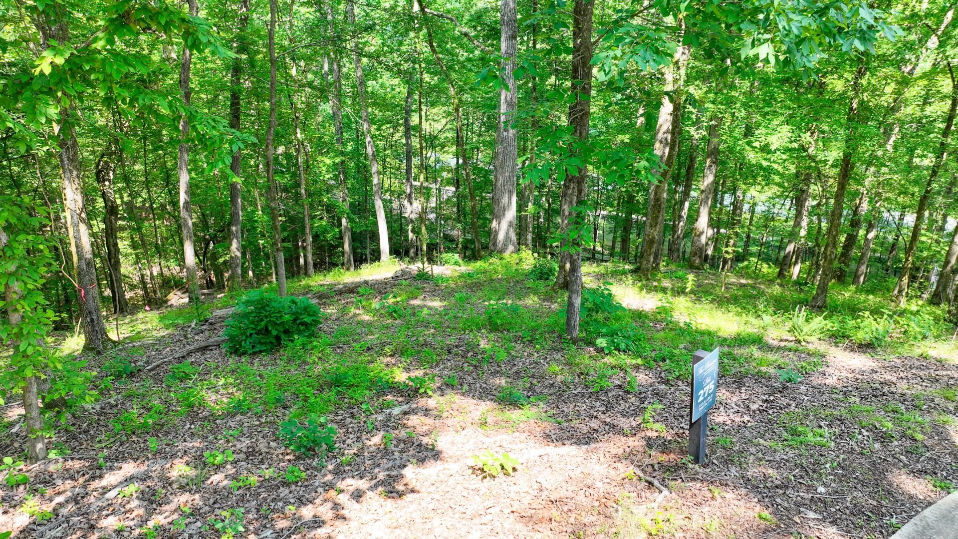 Lot 274 & 275 Secluded Loop Property Photo 21