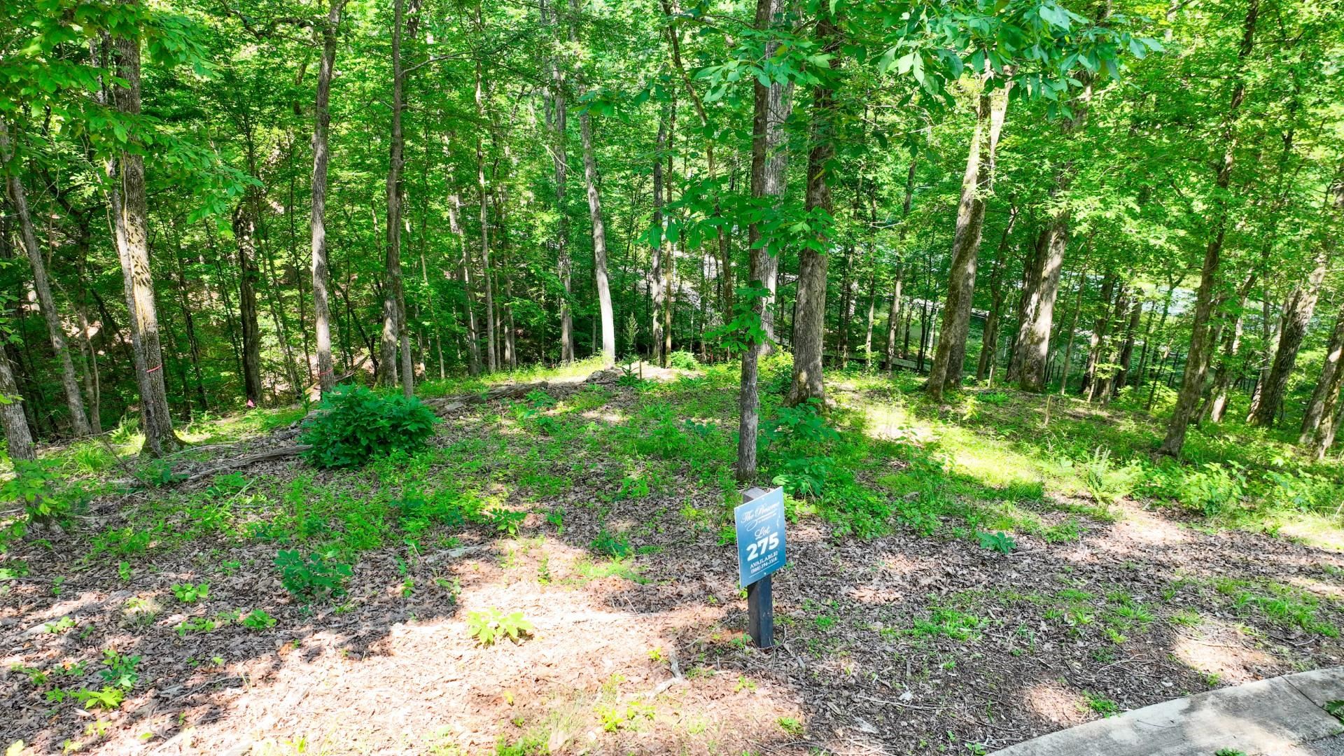 Lot 274 & 275 Secluded Loop Property Photo 22