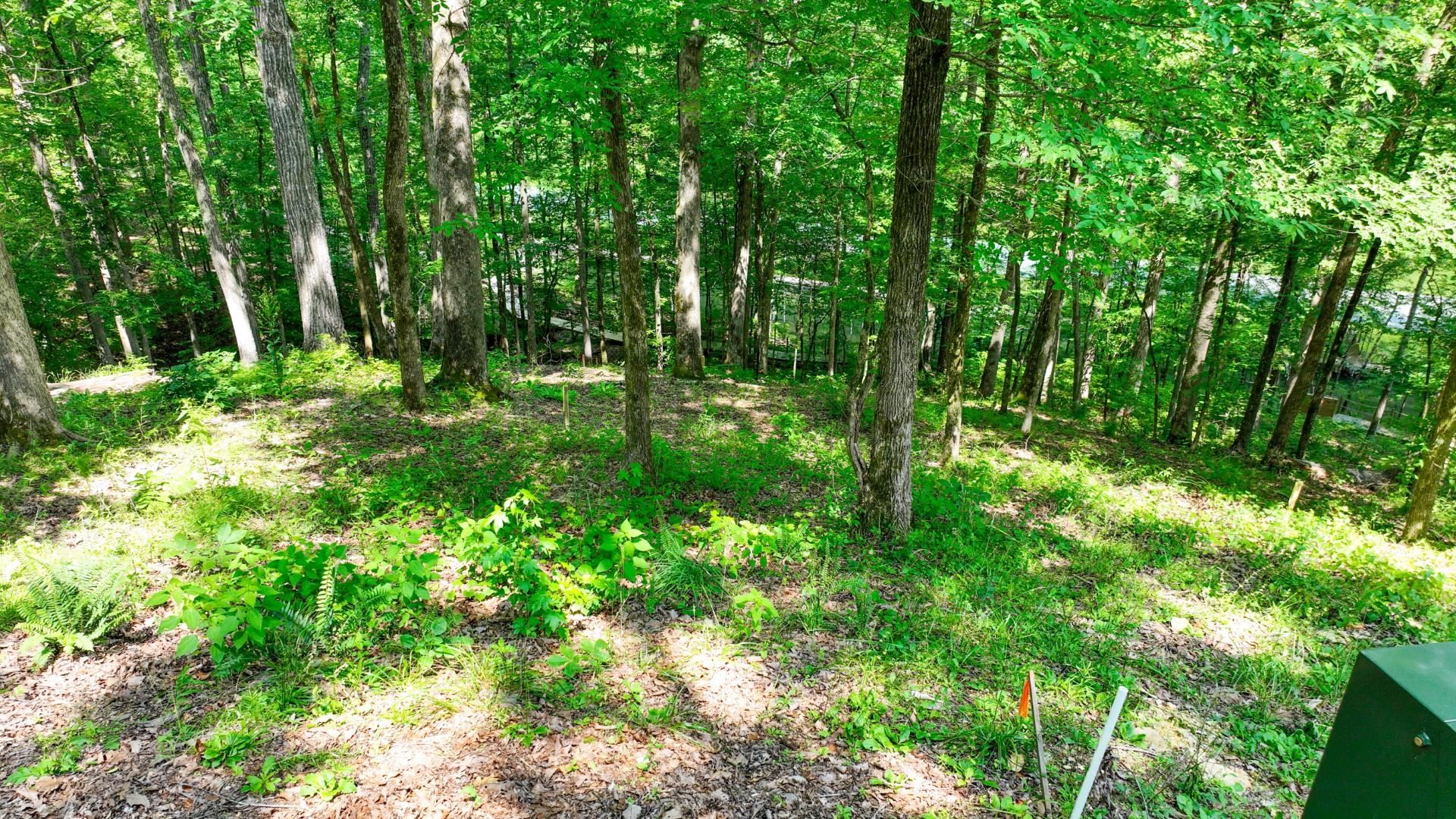 Lot 274 & 275 Secluded Loop Property Photo 24