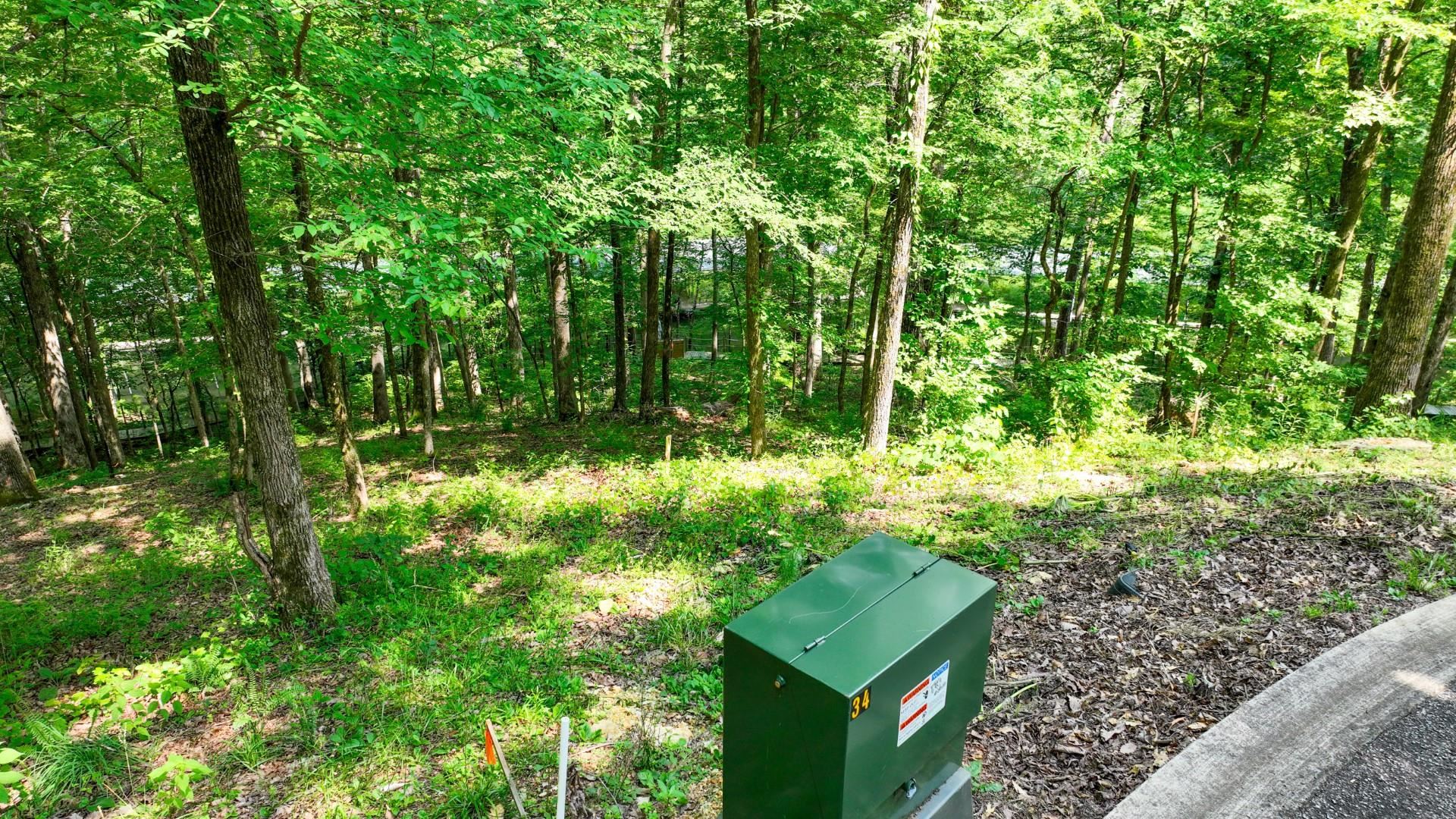 Lot 274 & 275 Secluded Loop Property Photo 25