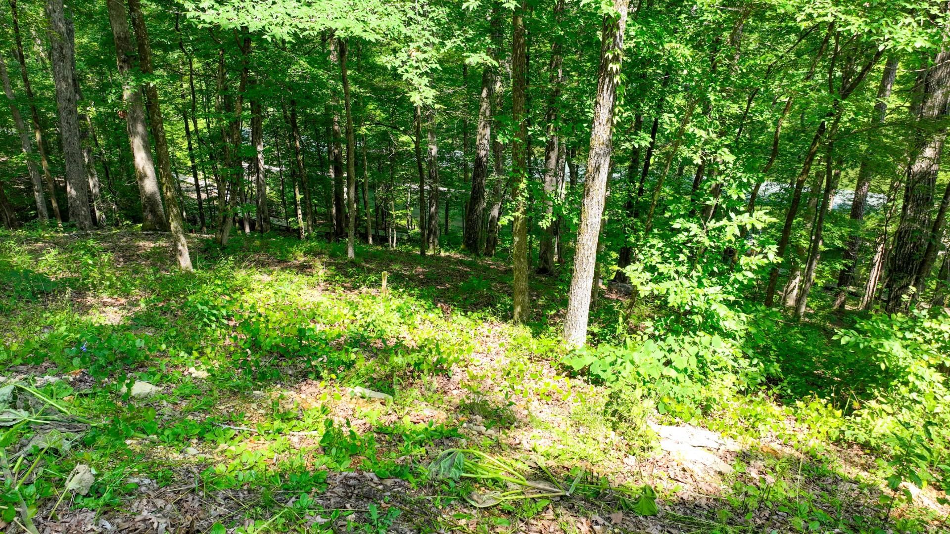 Lot 274 & 275 Secluded Loop Property Photo 26