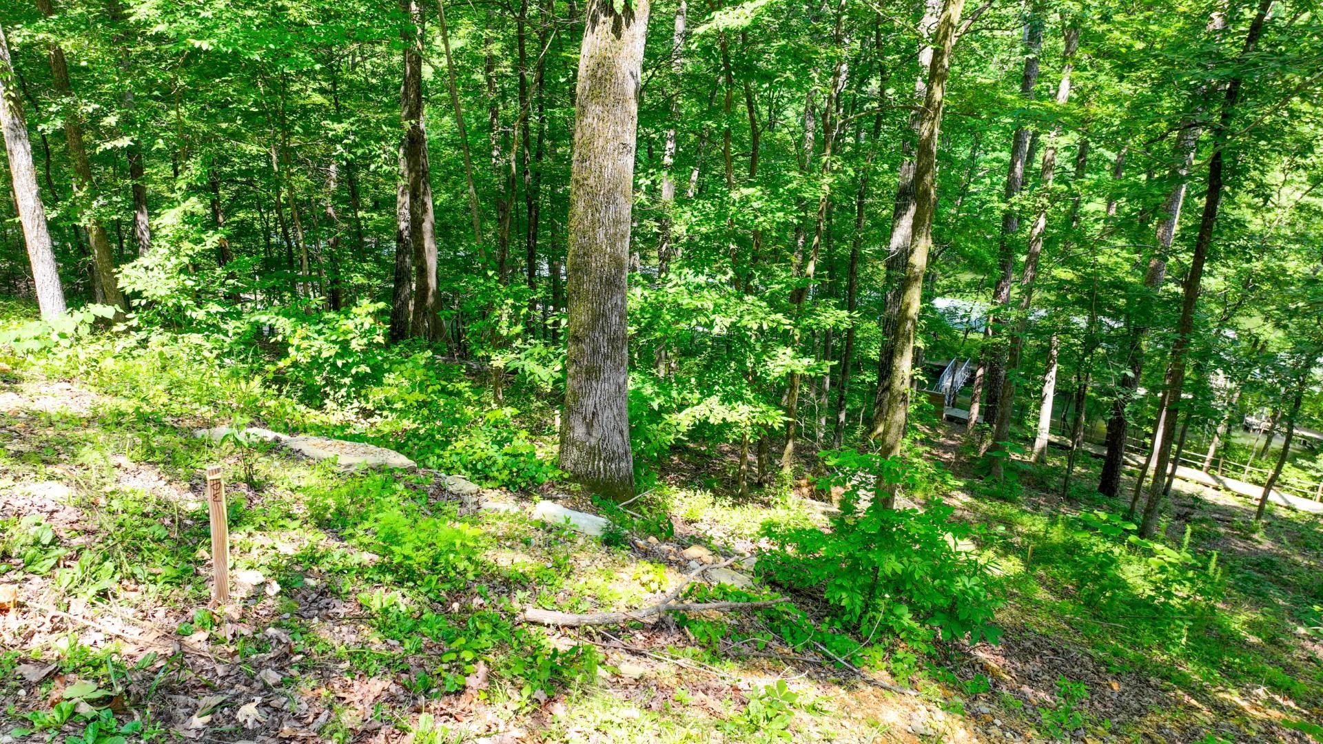 Lot 274 & 275 Secluded Loop Property Photo 28