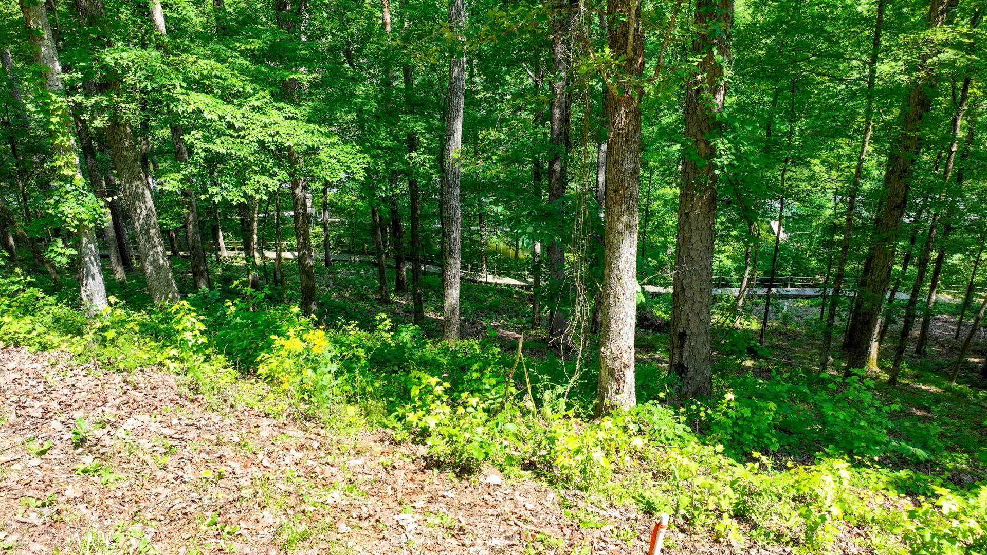 Lot 274 & 275 Secluded Loop Property Photo 30
