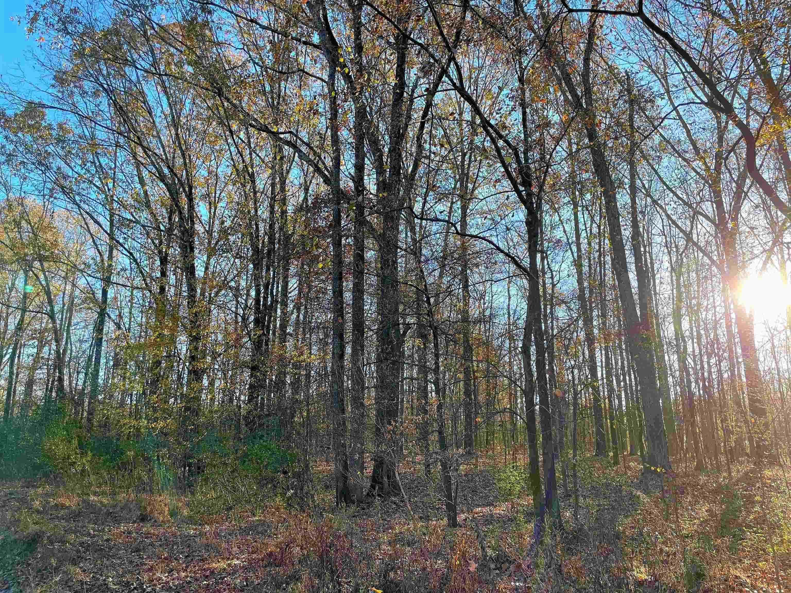 0 Hays Rd Property Photo 1