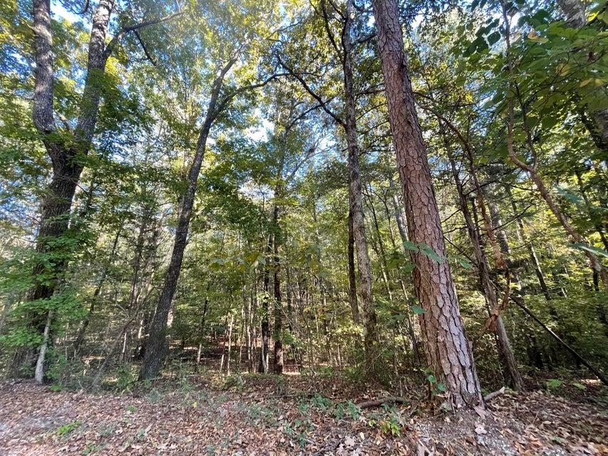 0 Cr 306 Tract 7 Dr Property Photo 2
