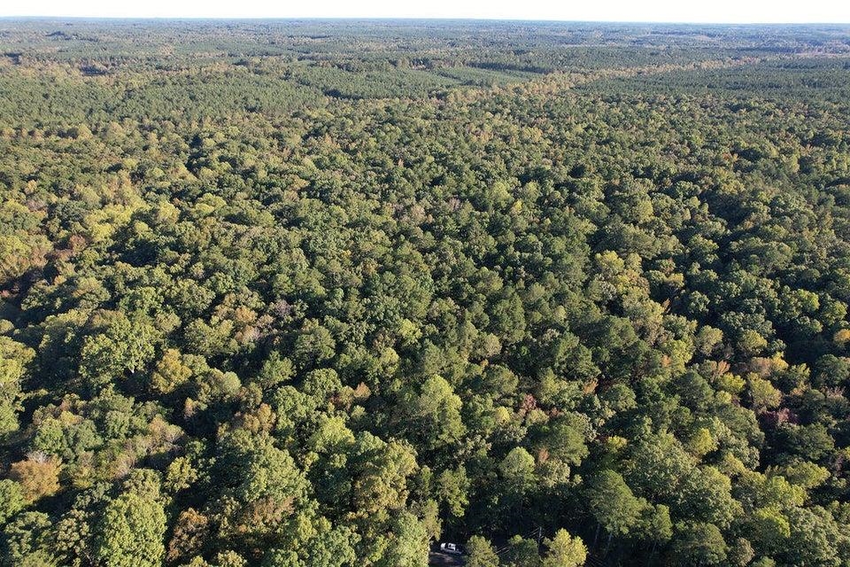 0 Cr 306 Tract 7 Dr Property Photo 4