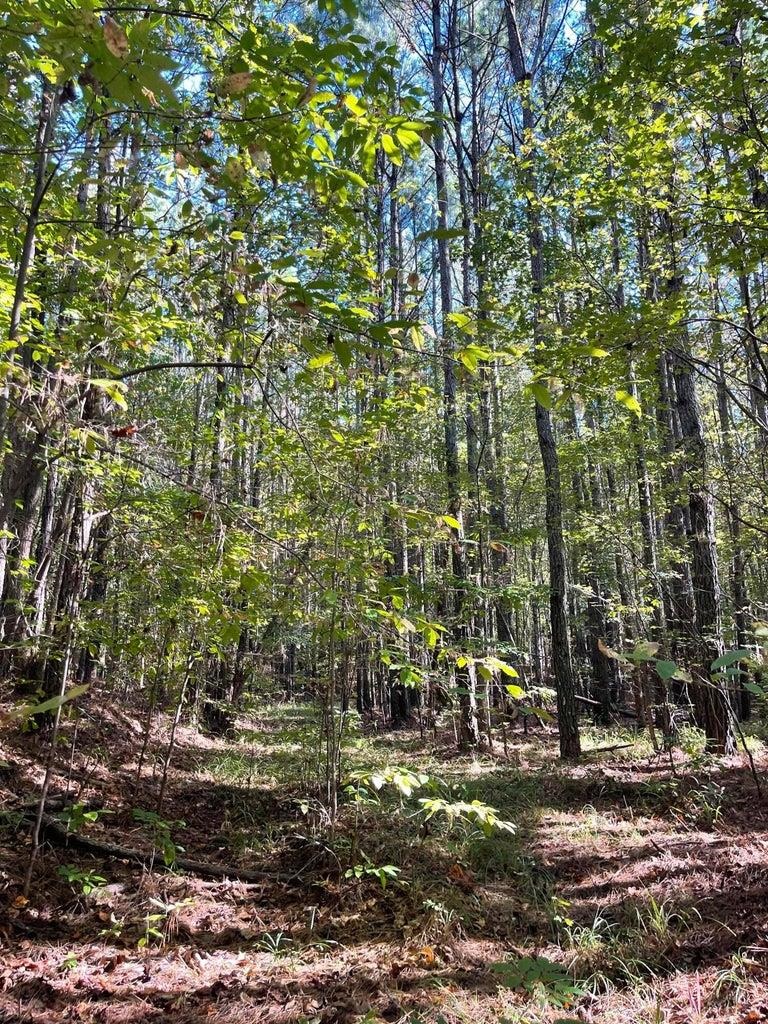 0 Cr 335 Tract 9 Dr Property Photo 5