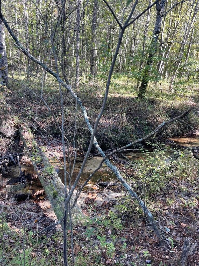 0 Cr 335 Tract 9 Dr Property Photo 6