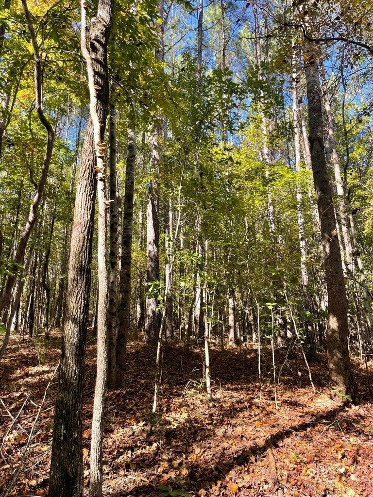 0 Cr 335 Tract 9 Dr Property Photo 7