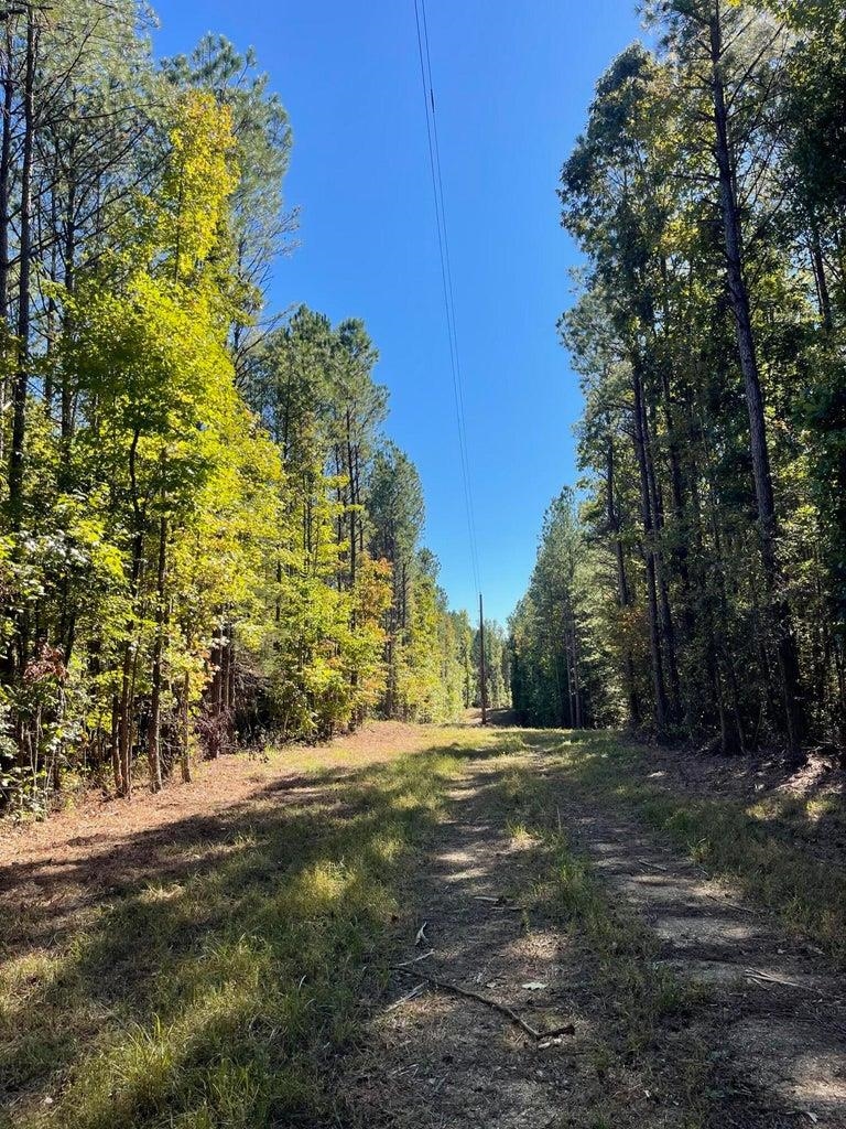 0 Cr 335 Tract 9 Dr Property Photo 12