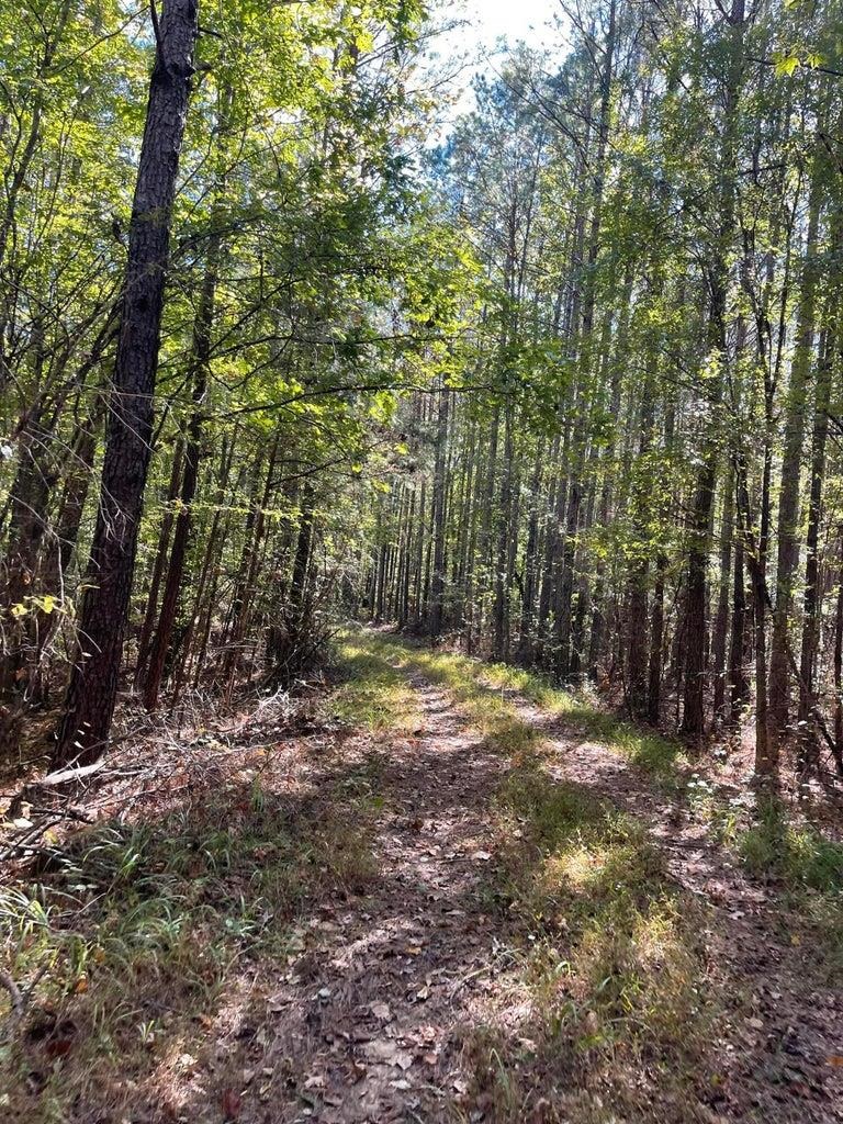 0 Cr 335 Tract 9 Dr Property Photo 13