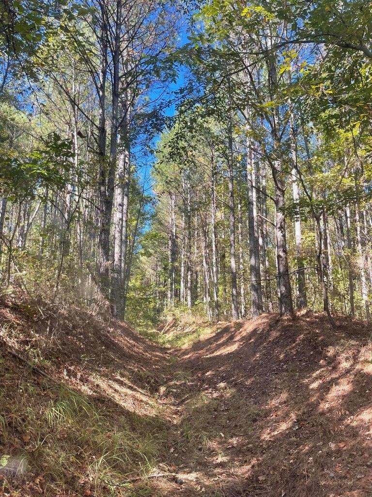 0 Cr 335 Tract 9 Dr Property Photo 14