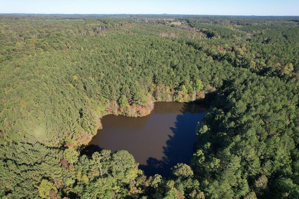 0 Cr 335 Tract 9 Dr Property Photo 16