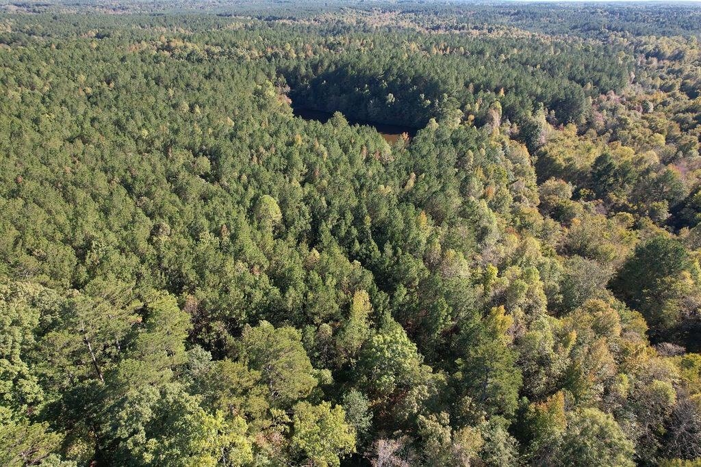 0 Cr 335 Tract 9 Dr Property Photo 17