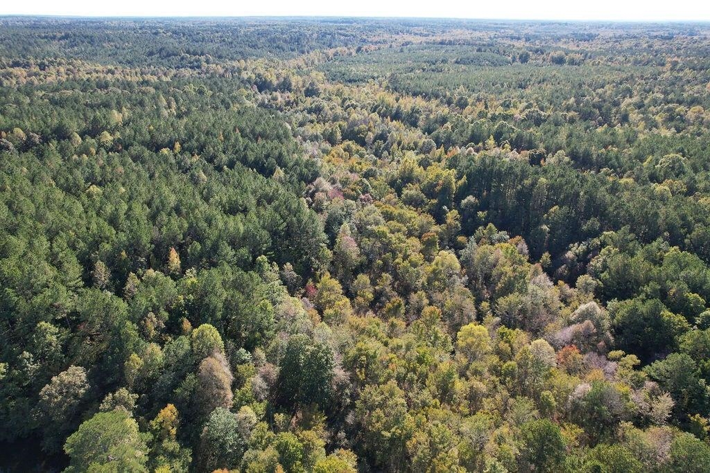0 Cr 335 Tract 9 Dr Property Photo 18