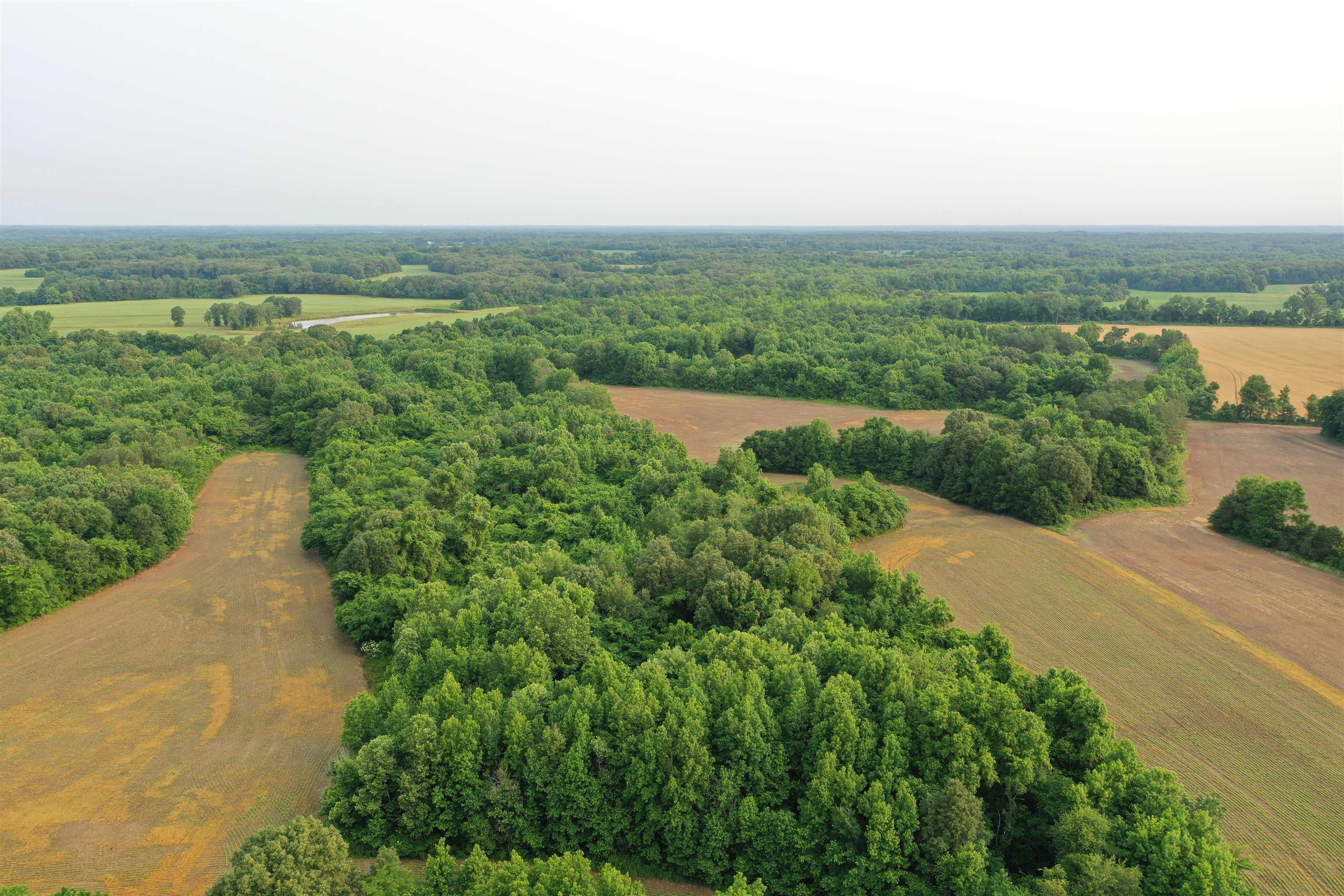 1858 Denmark Jackson Rd Property Photo 1