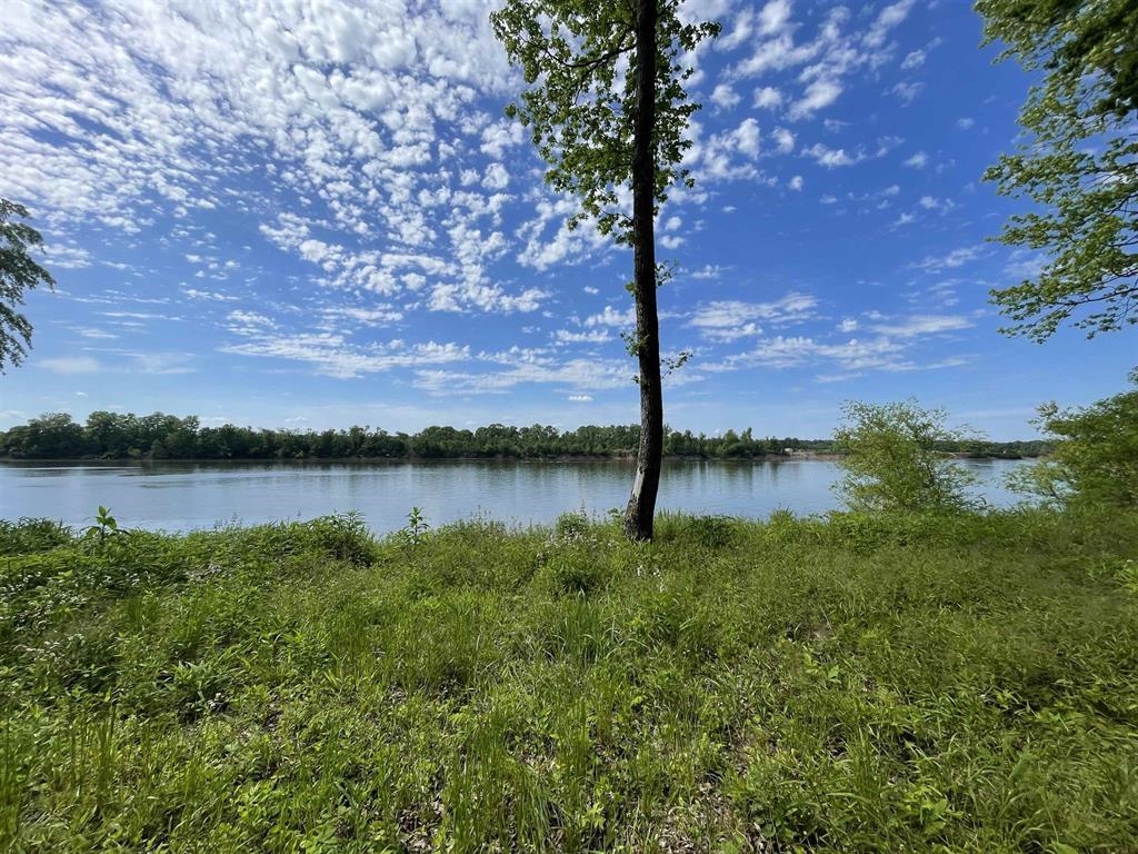 12 Caden Cv Property Photo 3