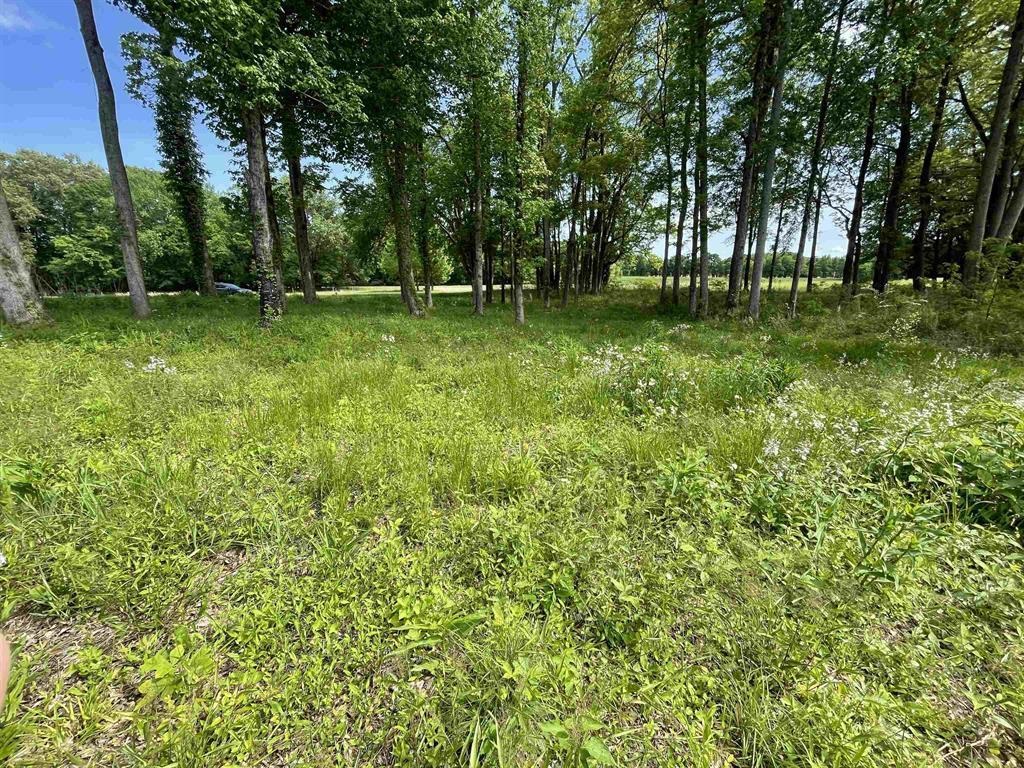 12 Caden Cv Property Photo 8