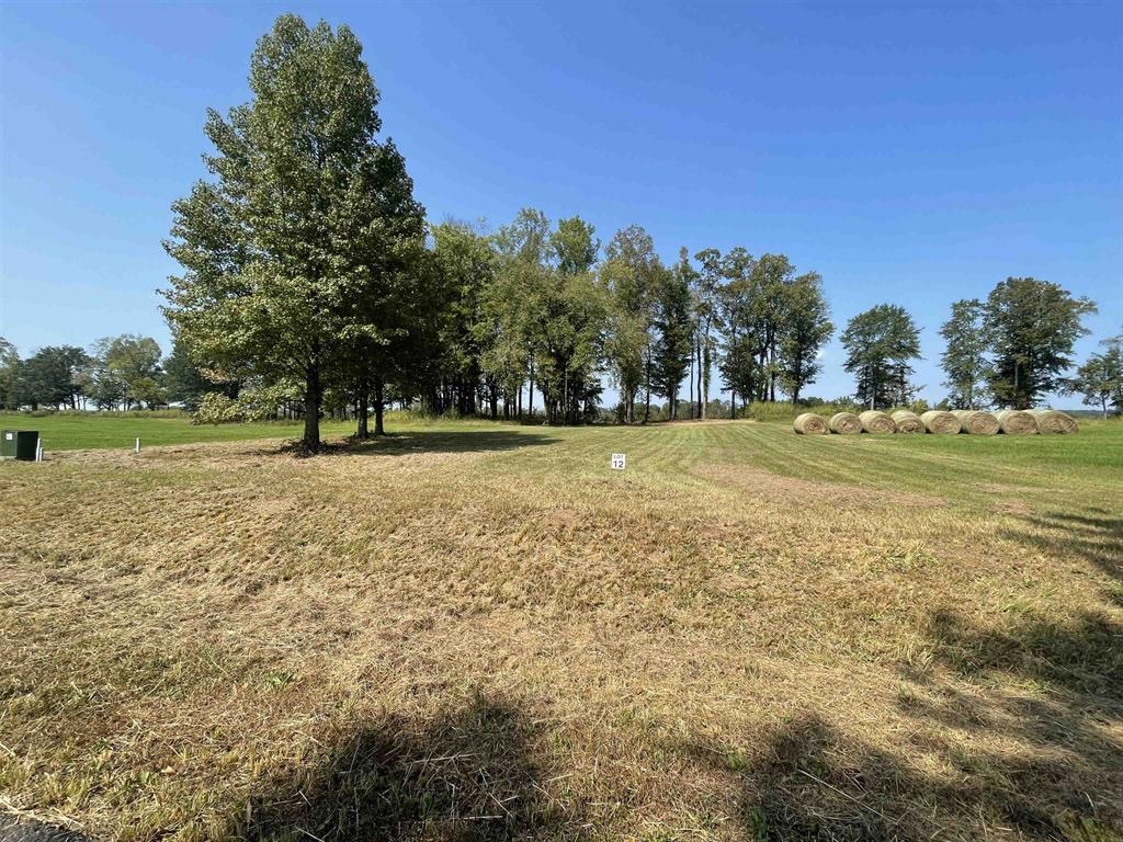 12 Caden Cv Property Photo 12