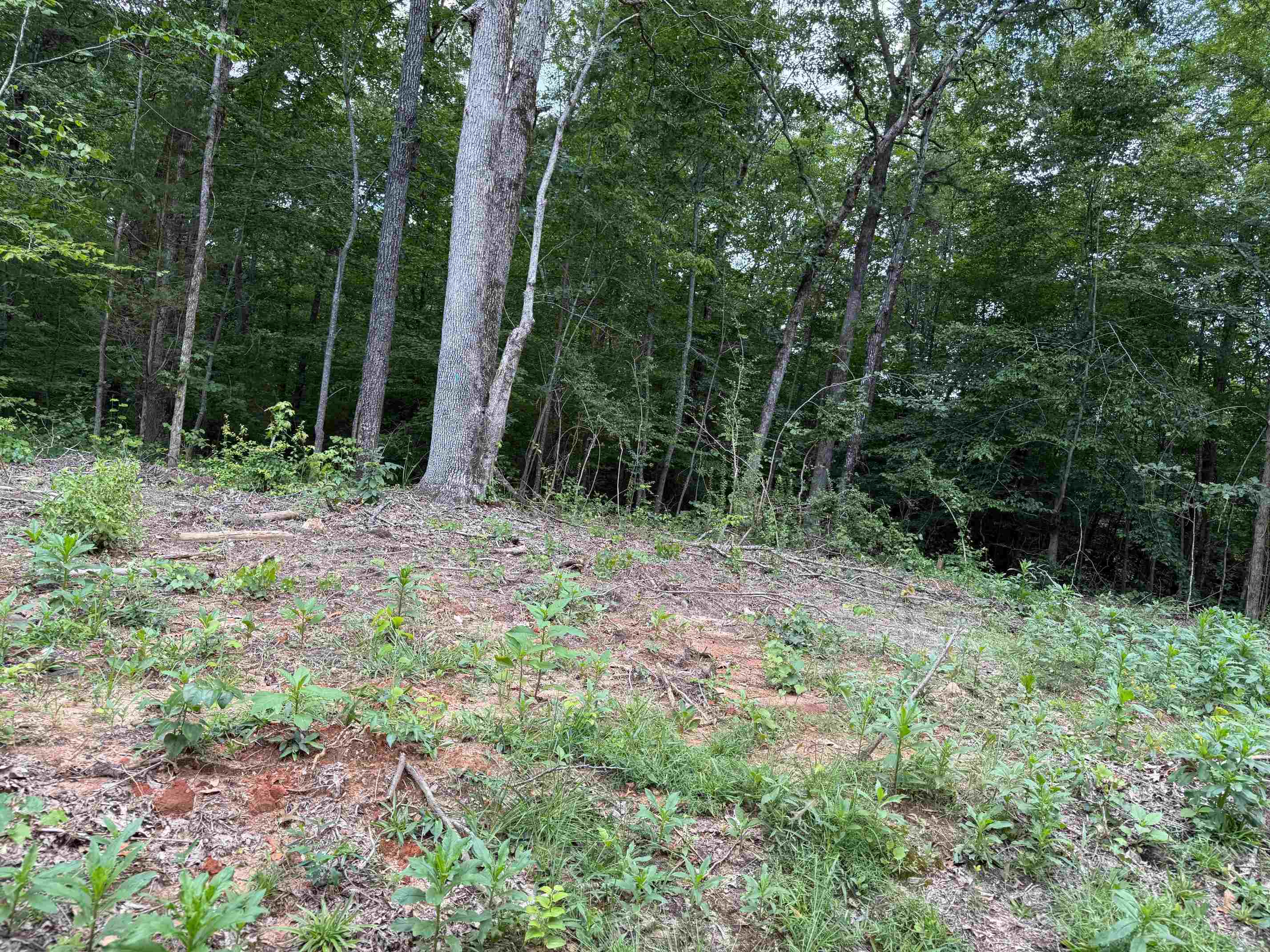 0 69 Hwy Property Photo 3