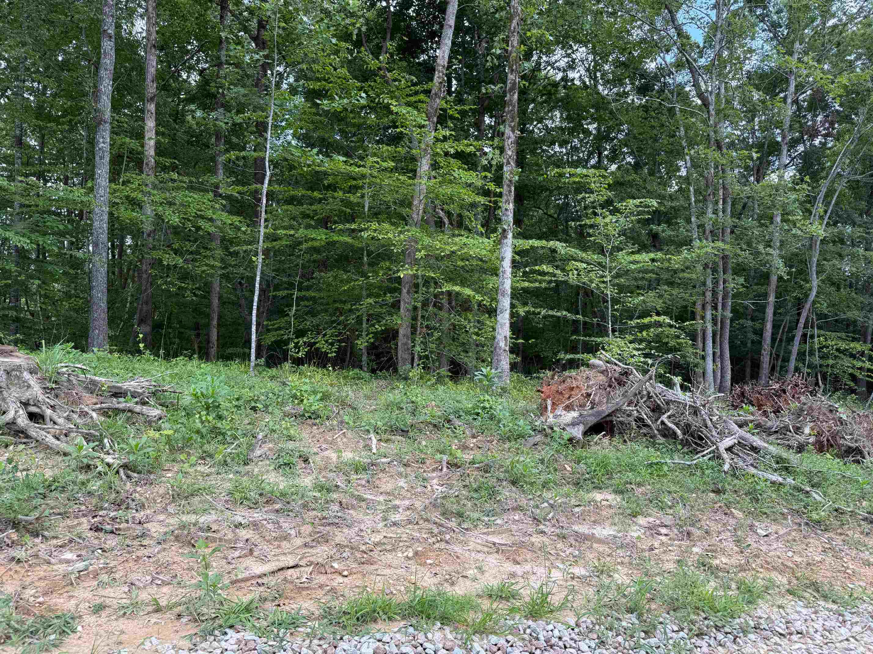 0 69 Hwy Property Photo 4