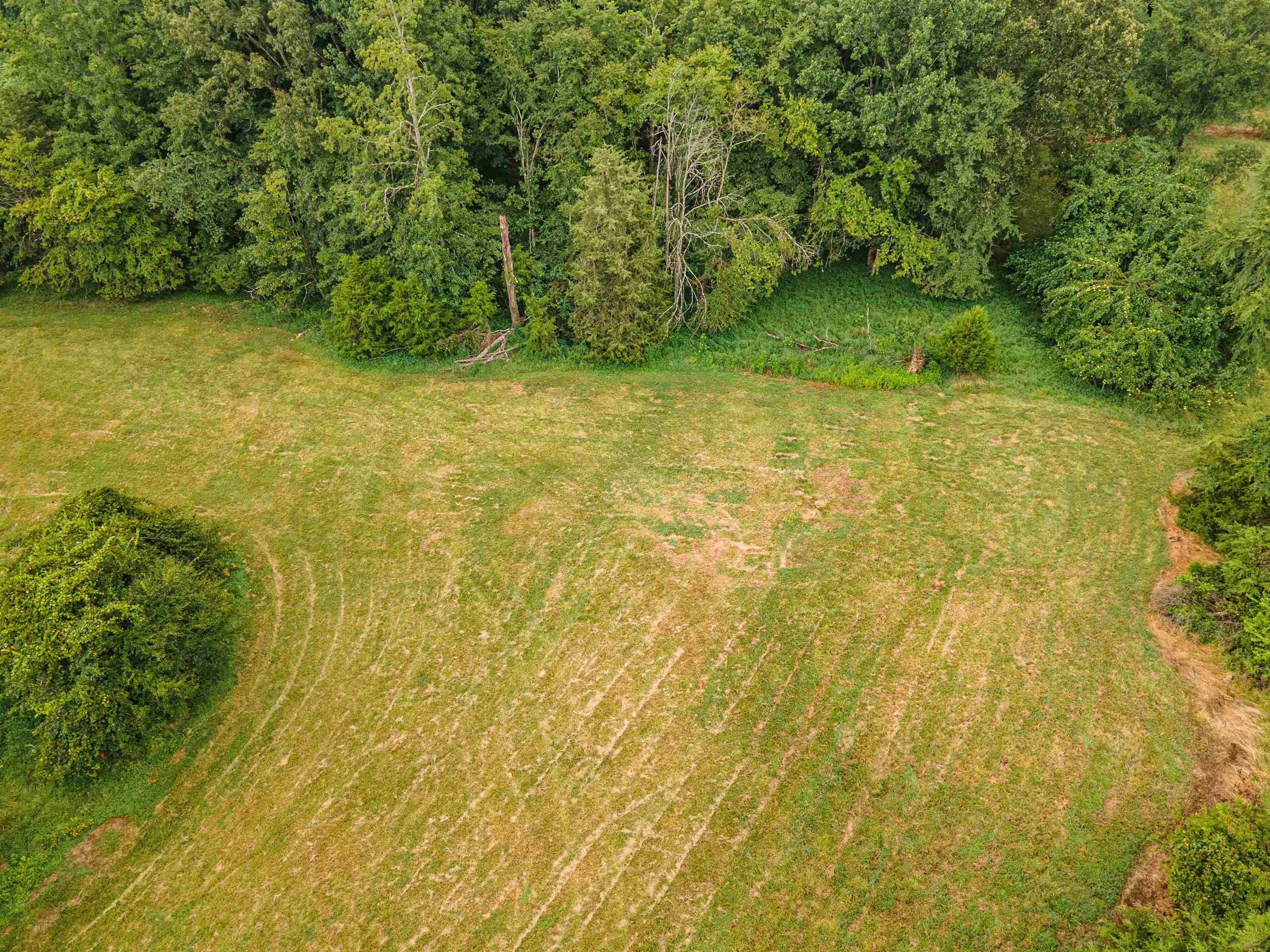Country Club Rd Property Photo 2