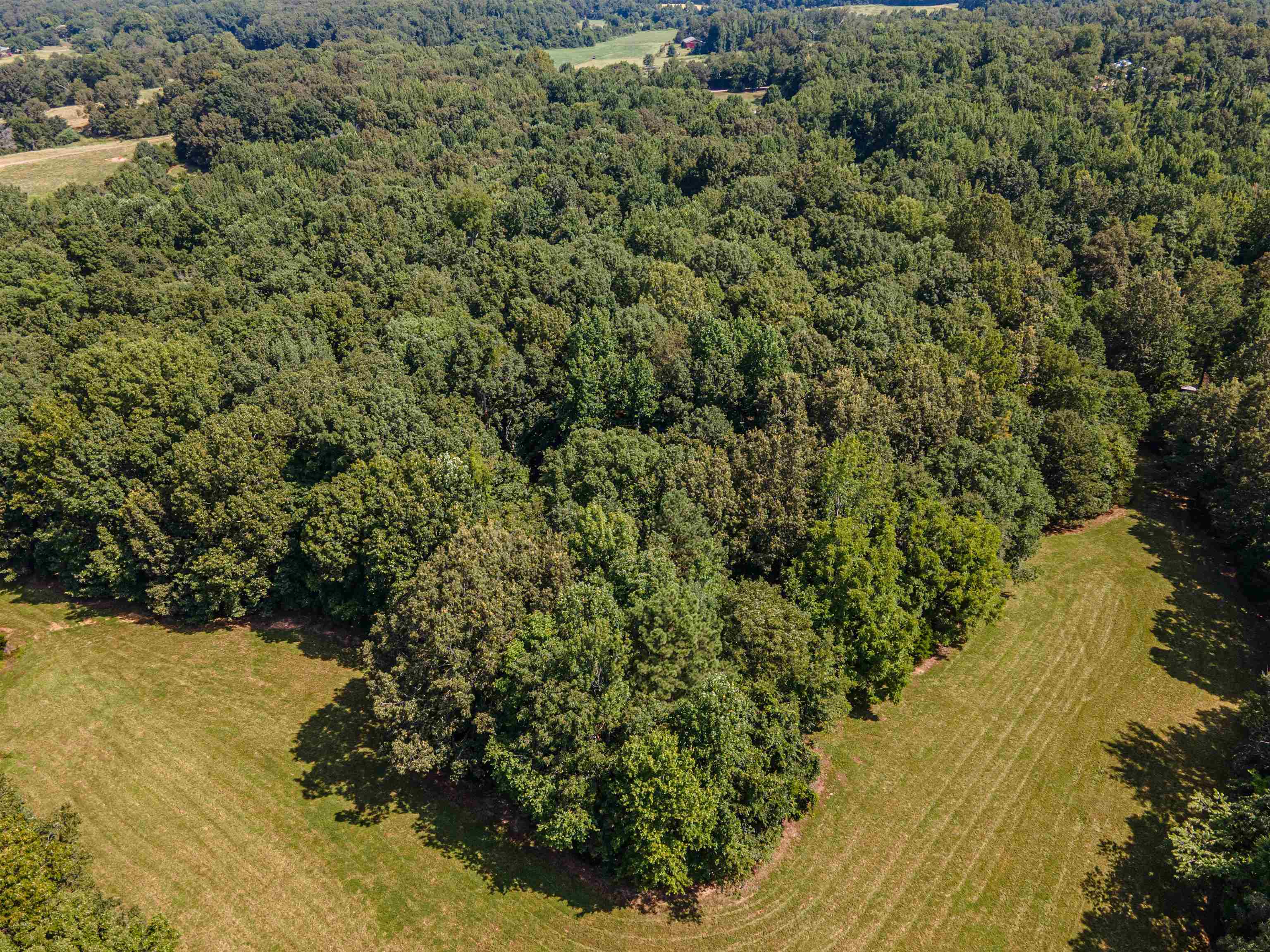 Country Club Rd Property Photo 5