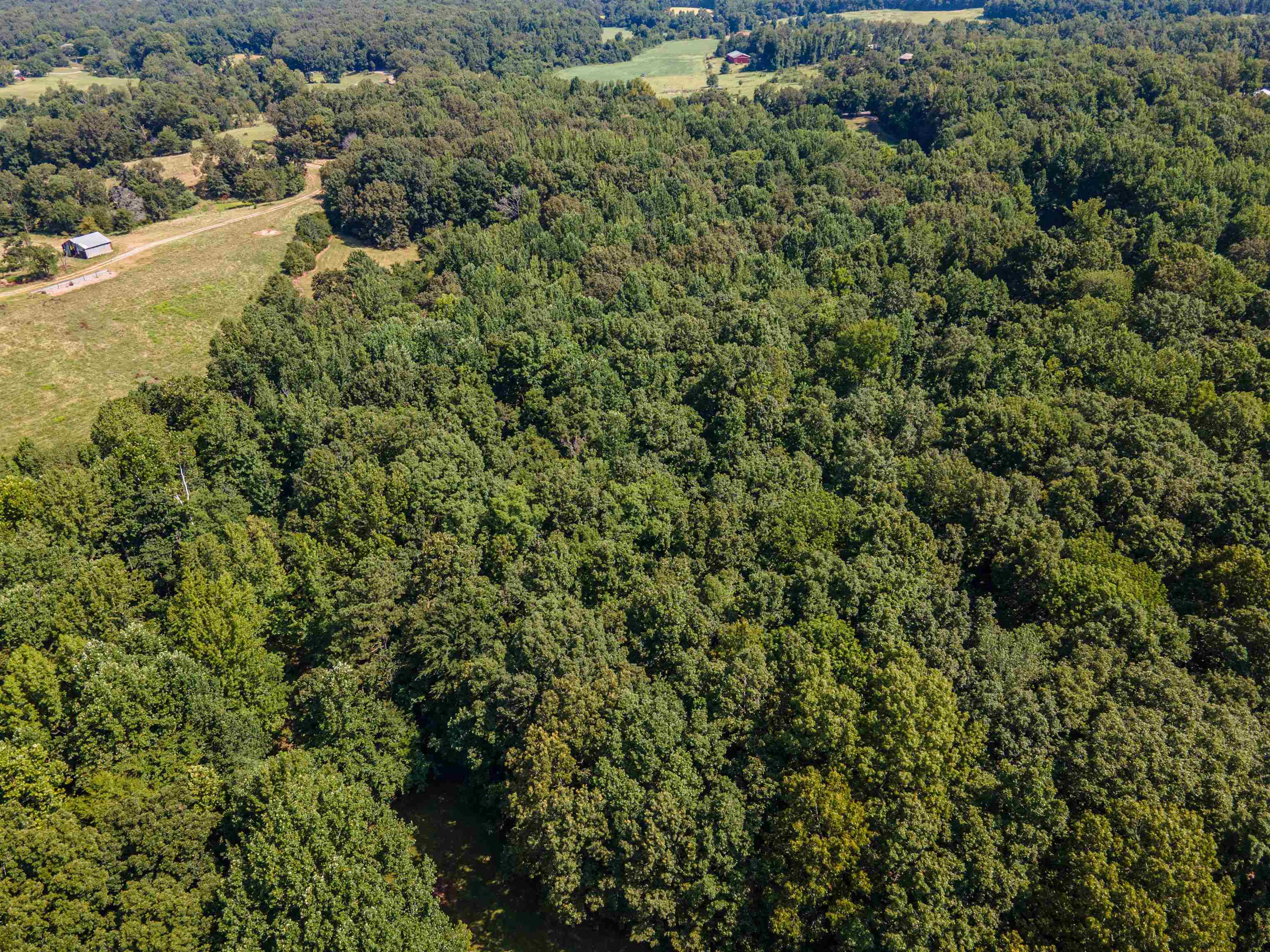 Country Club Rd Property Photo 7