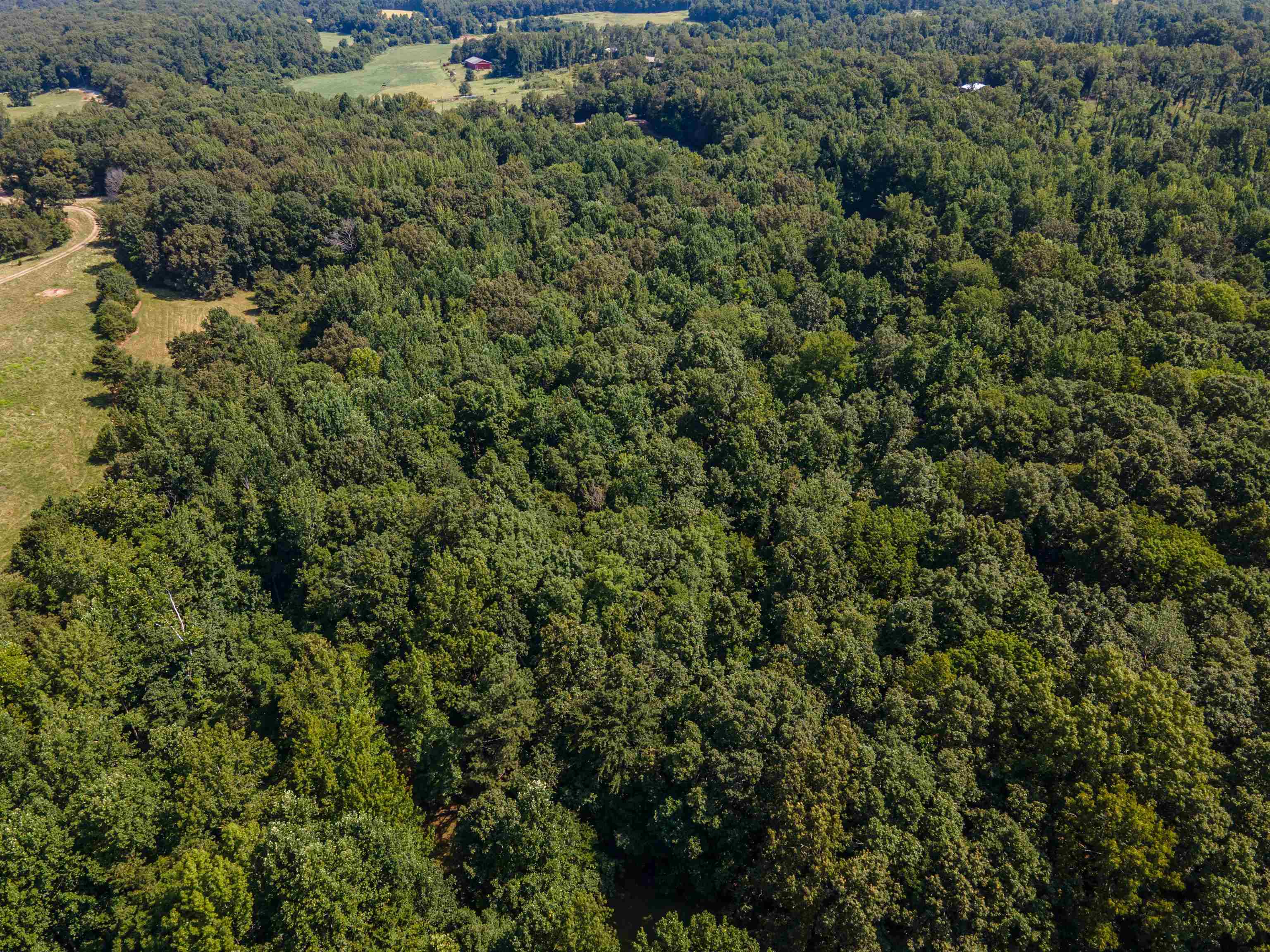 Country Club Rd Property Photo 8