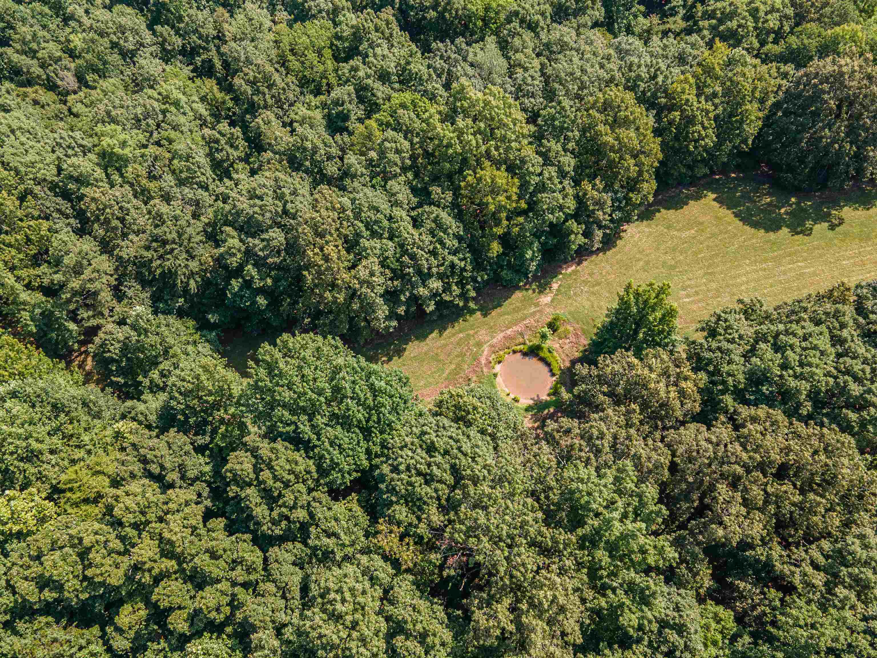 Country Club Rd Property Photo 9