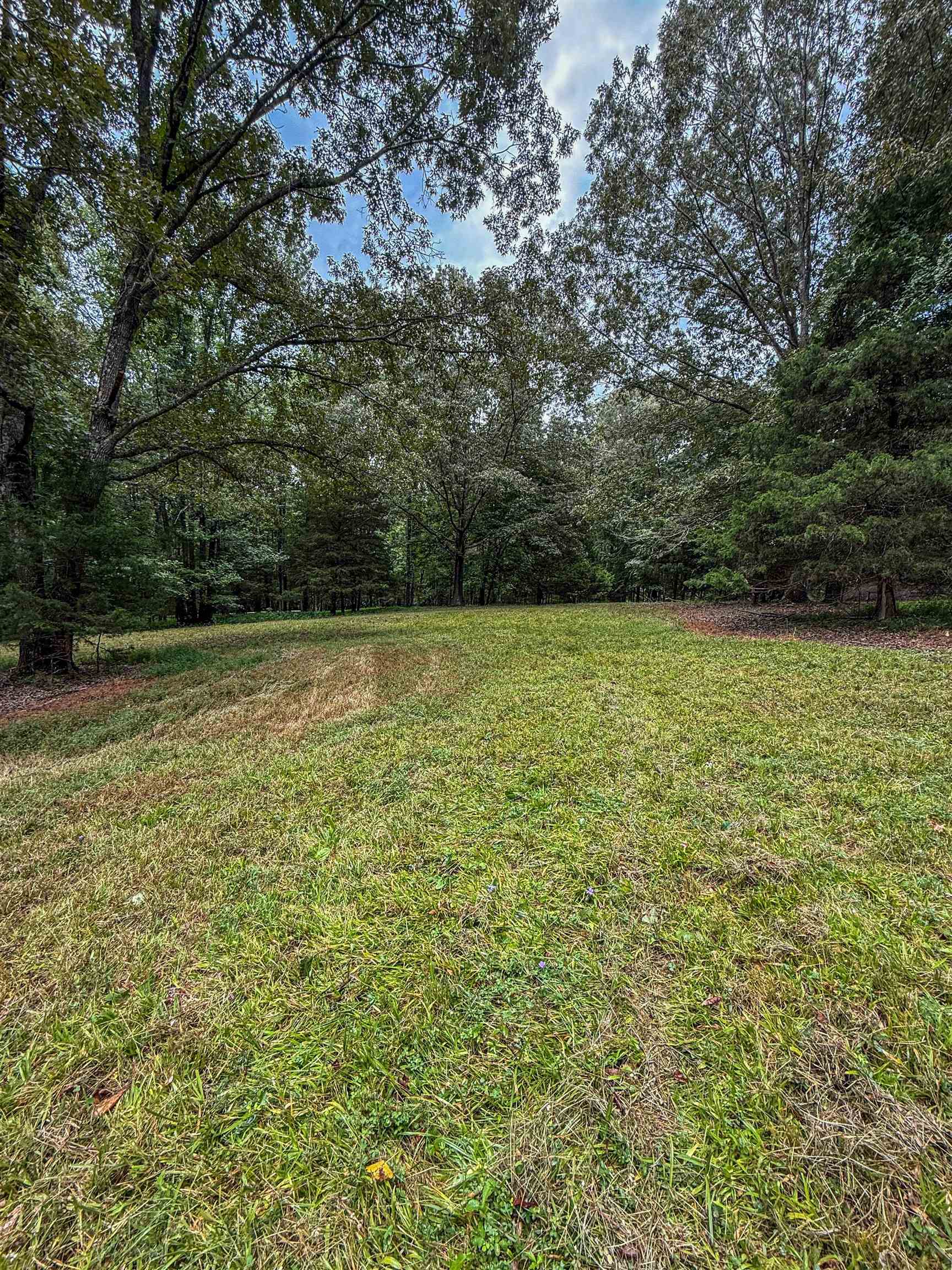 Country Club Rd Property Photo 16