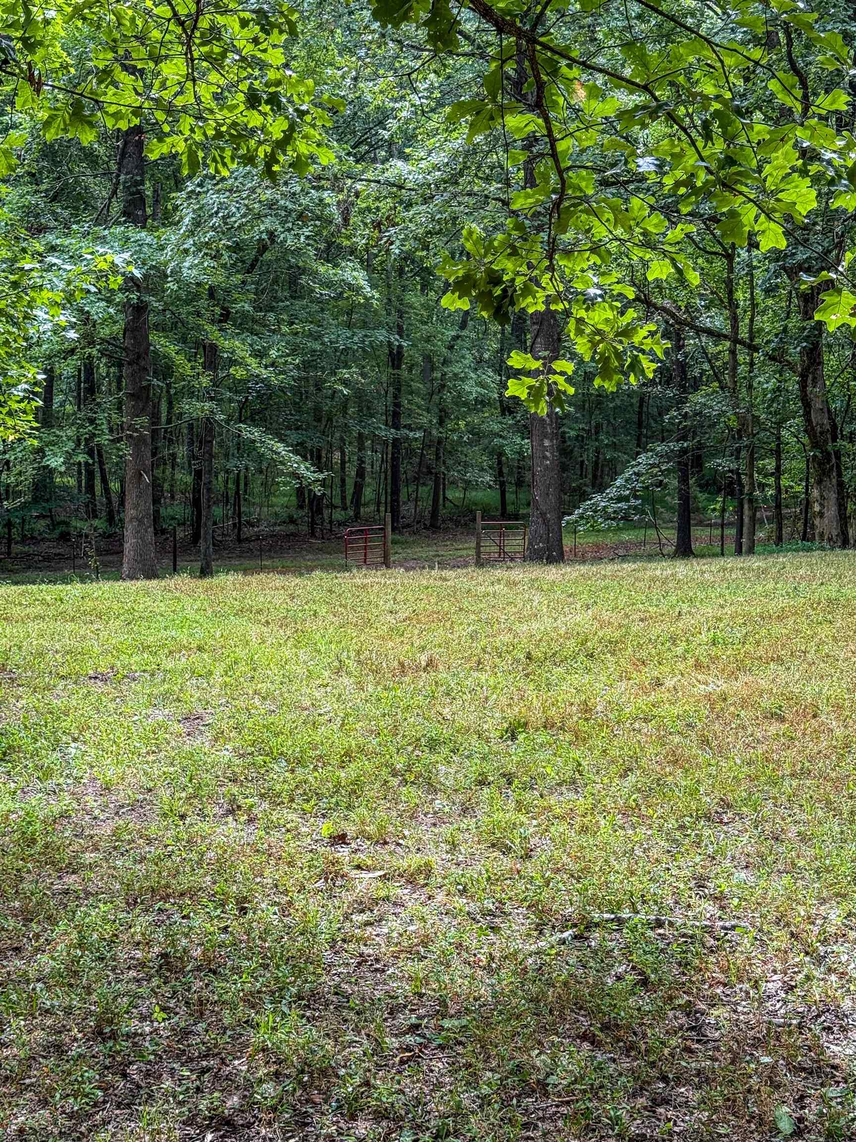 Country Club Rd Property Photo 18