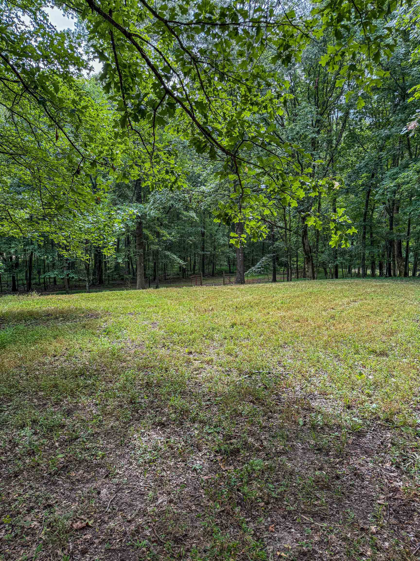 Country Club Rd Property Photo 19