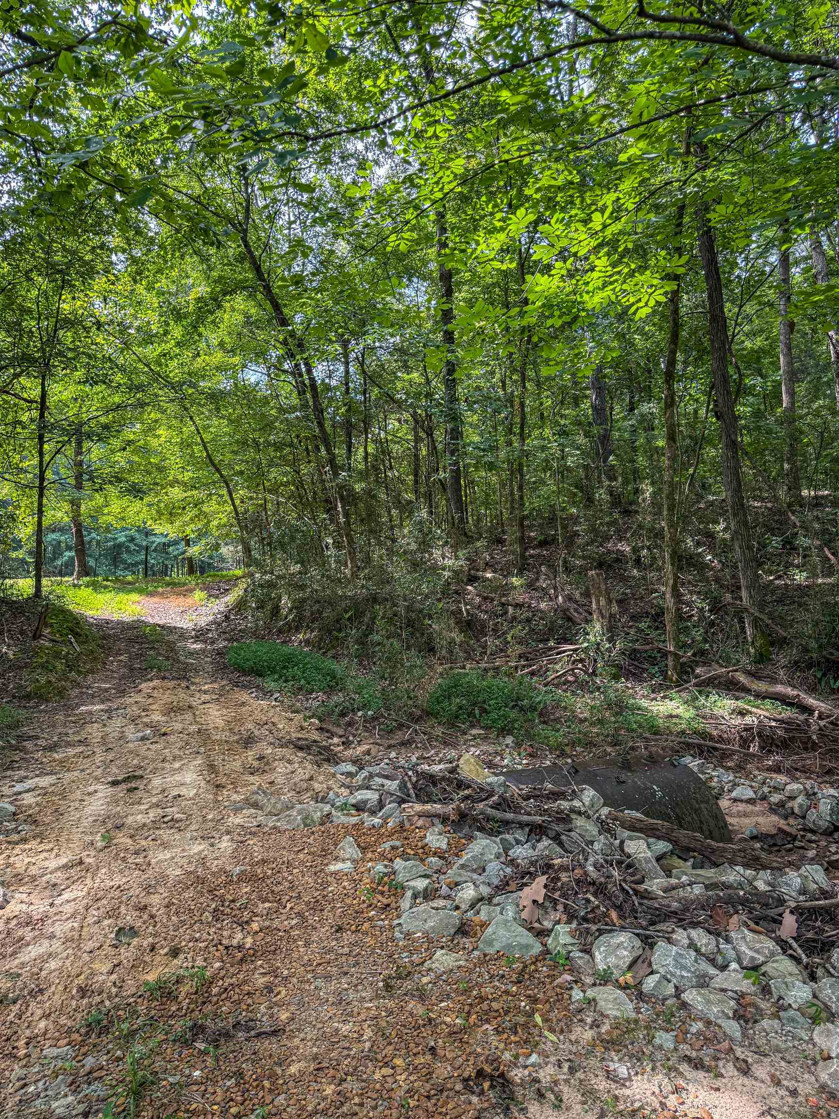 Country Club Rd Property Photo 23