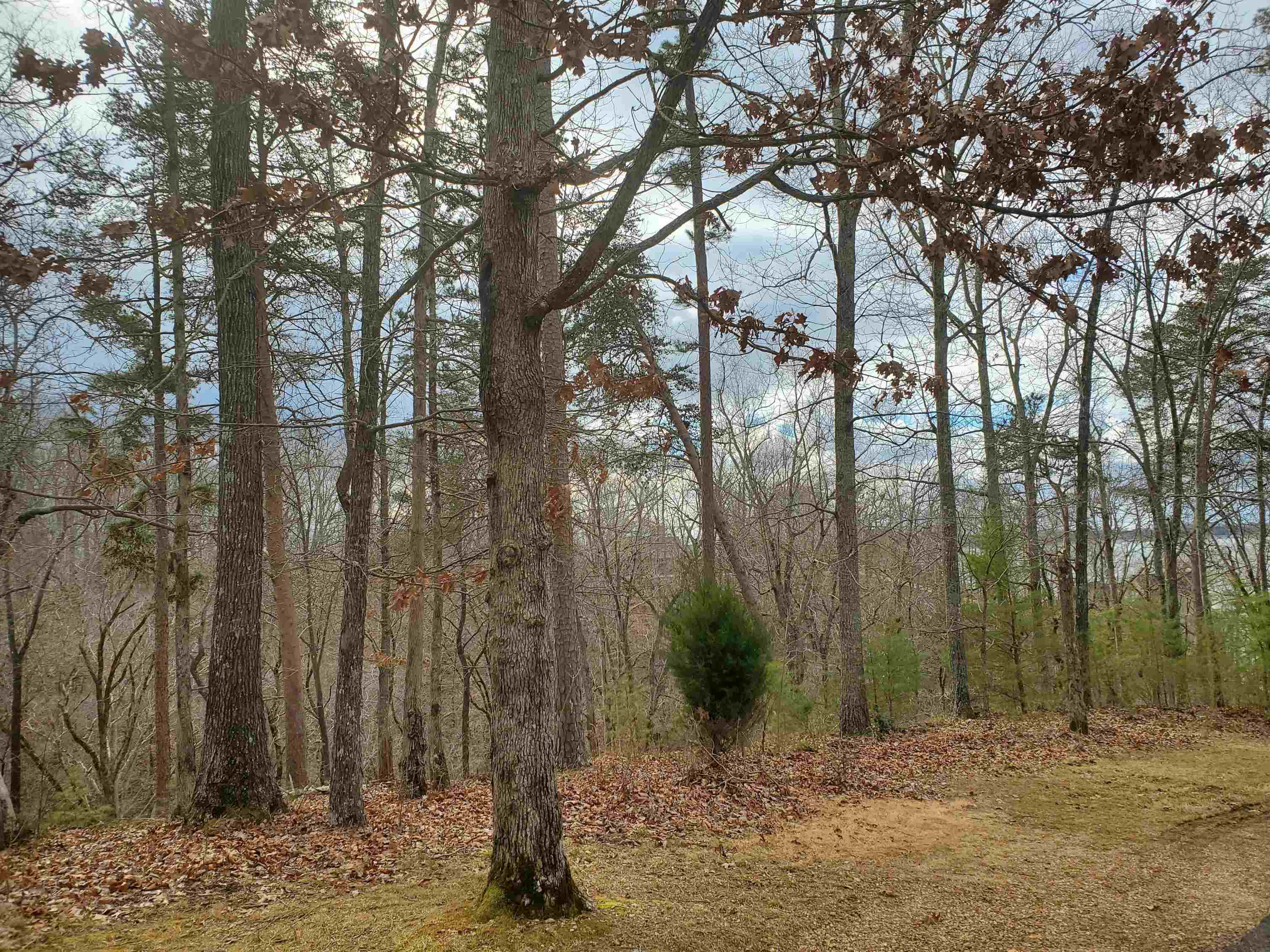 Lot 223 Ridgeview Cv Property Photo 1