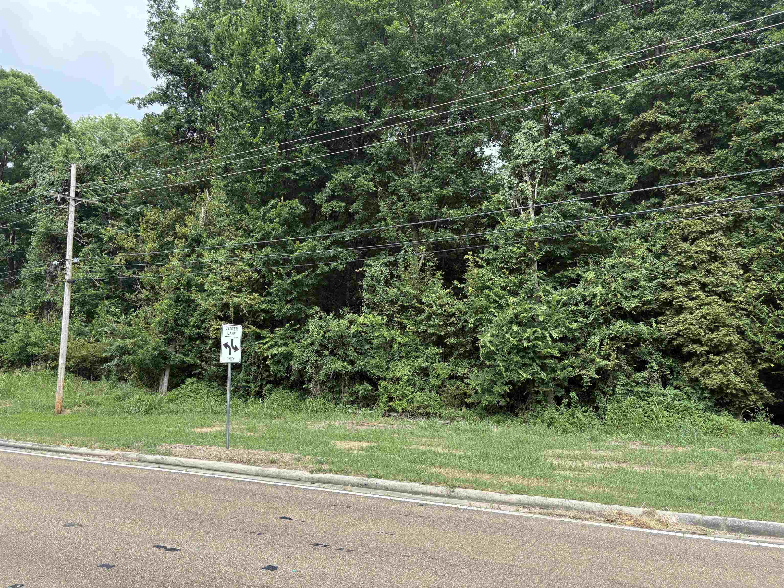 0 Ms-301 Hwy Property Photo 3