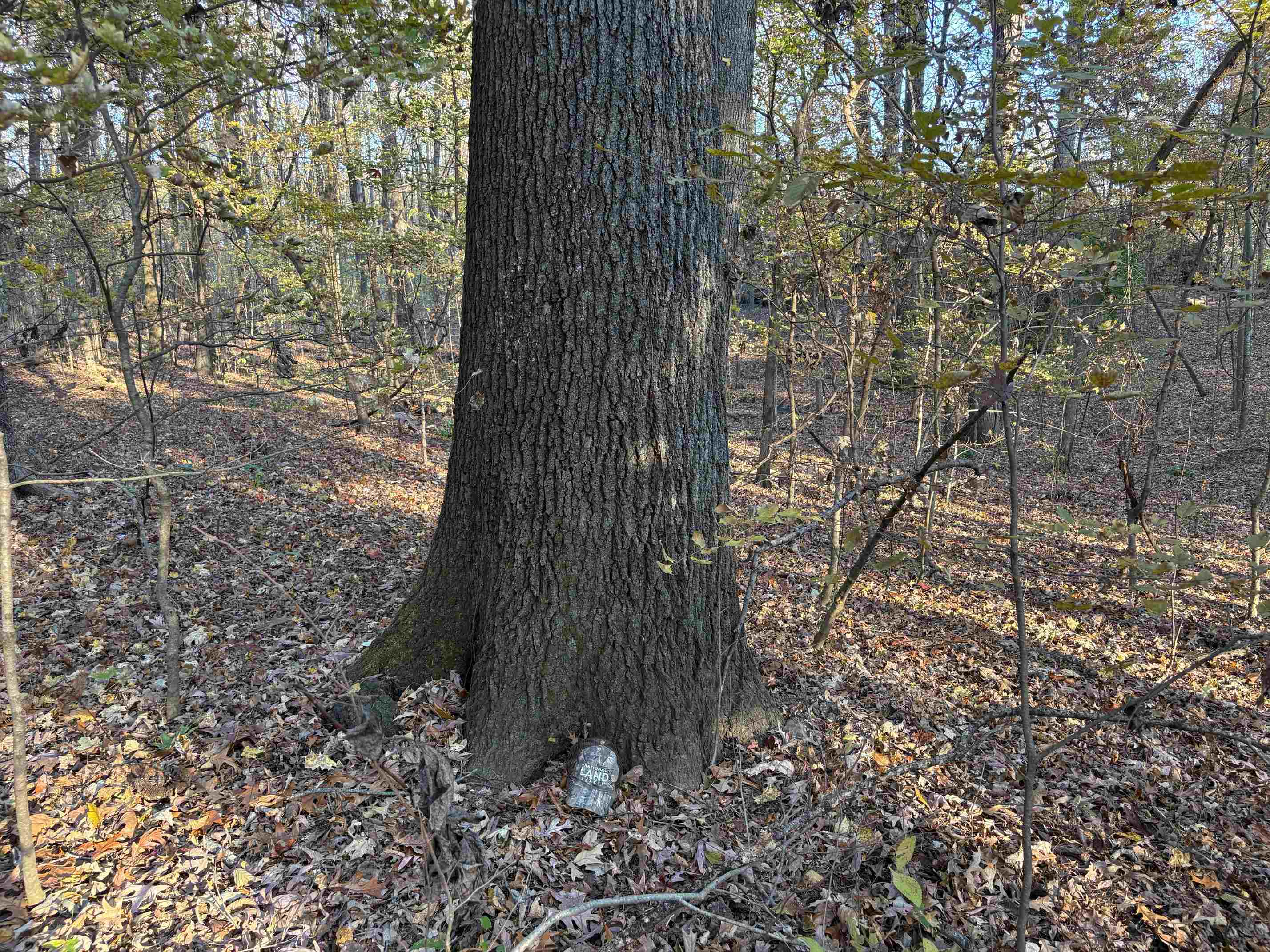 0 Ms-301 Hwy Property Photo 4
