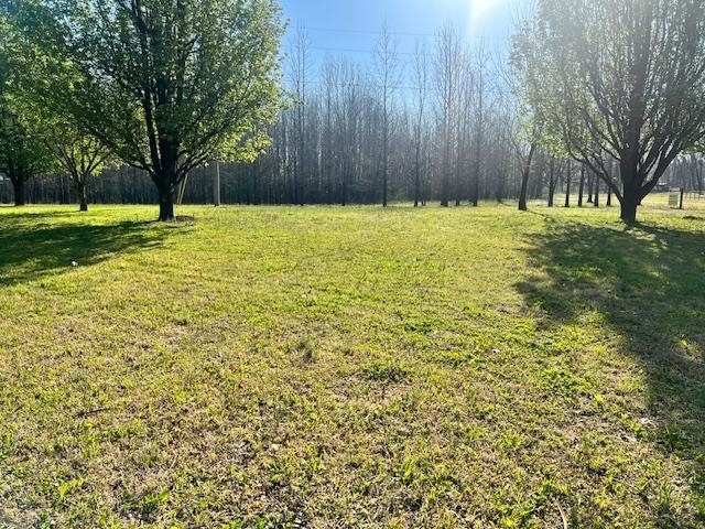 590 Towboat Ln Property Photo 31