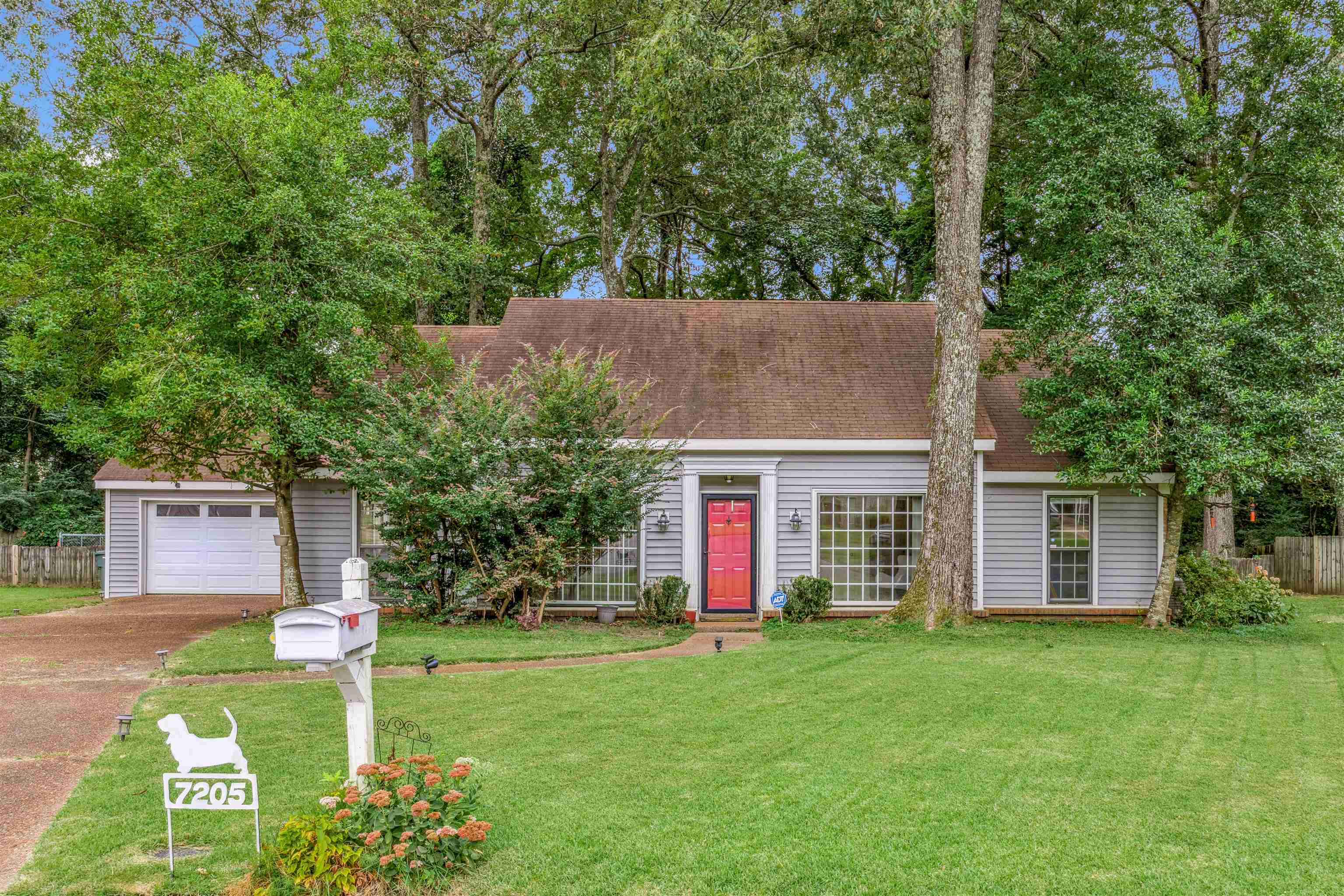 7205 Skidmore Cv Property Photo 1