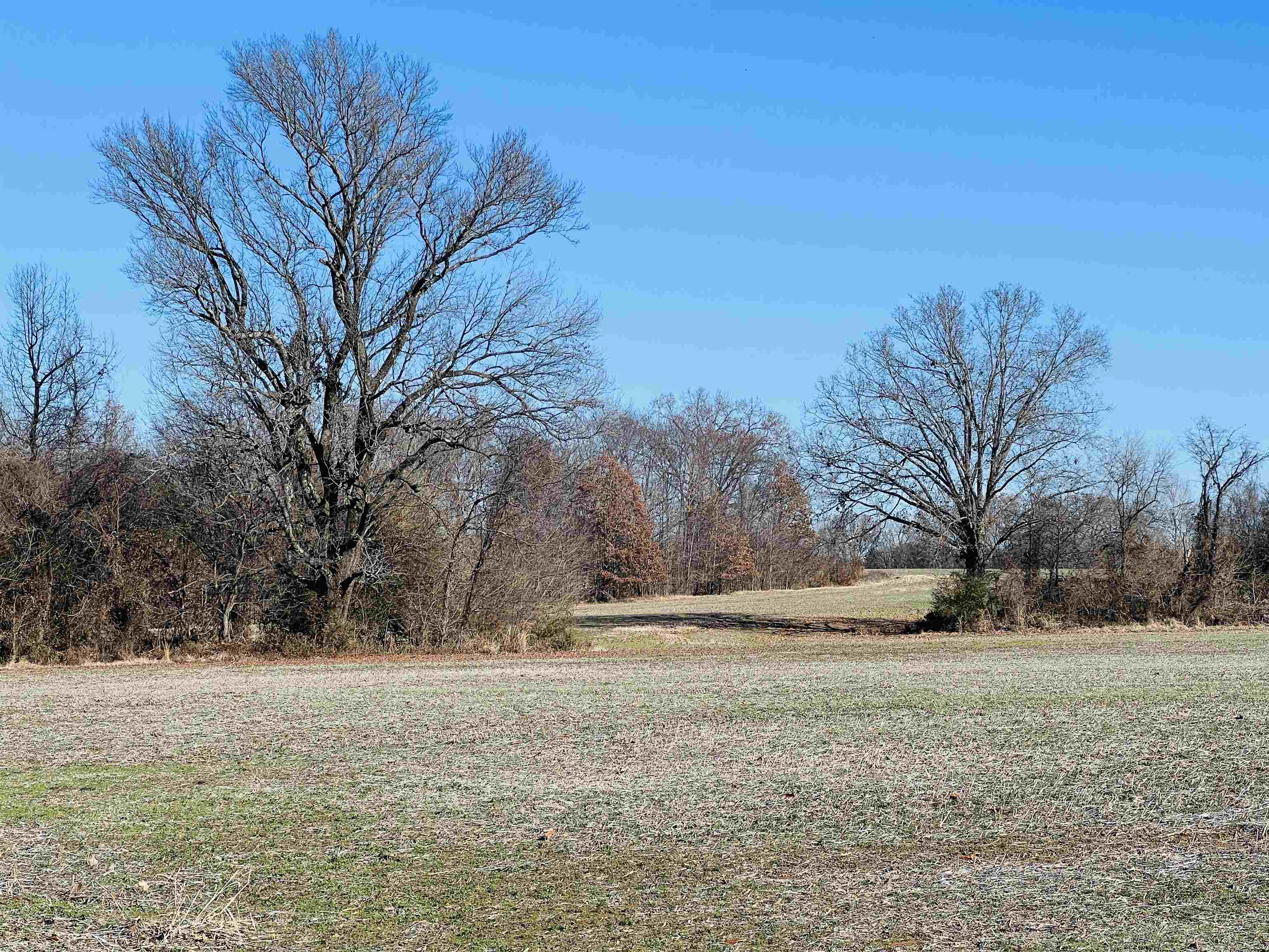 230 Crooked Creek Dr Property Photo 14