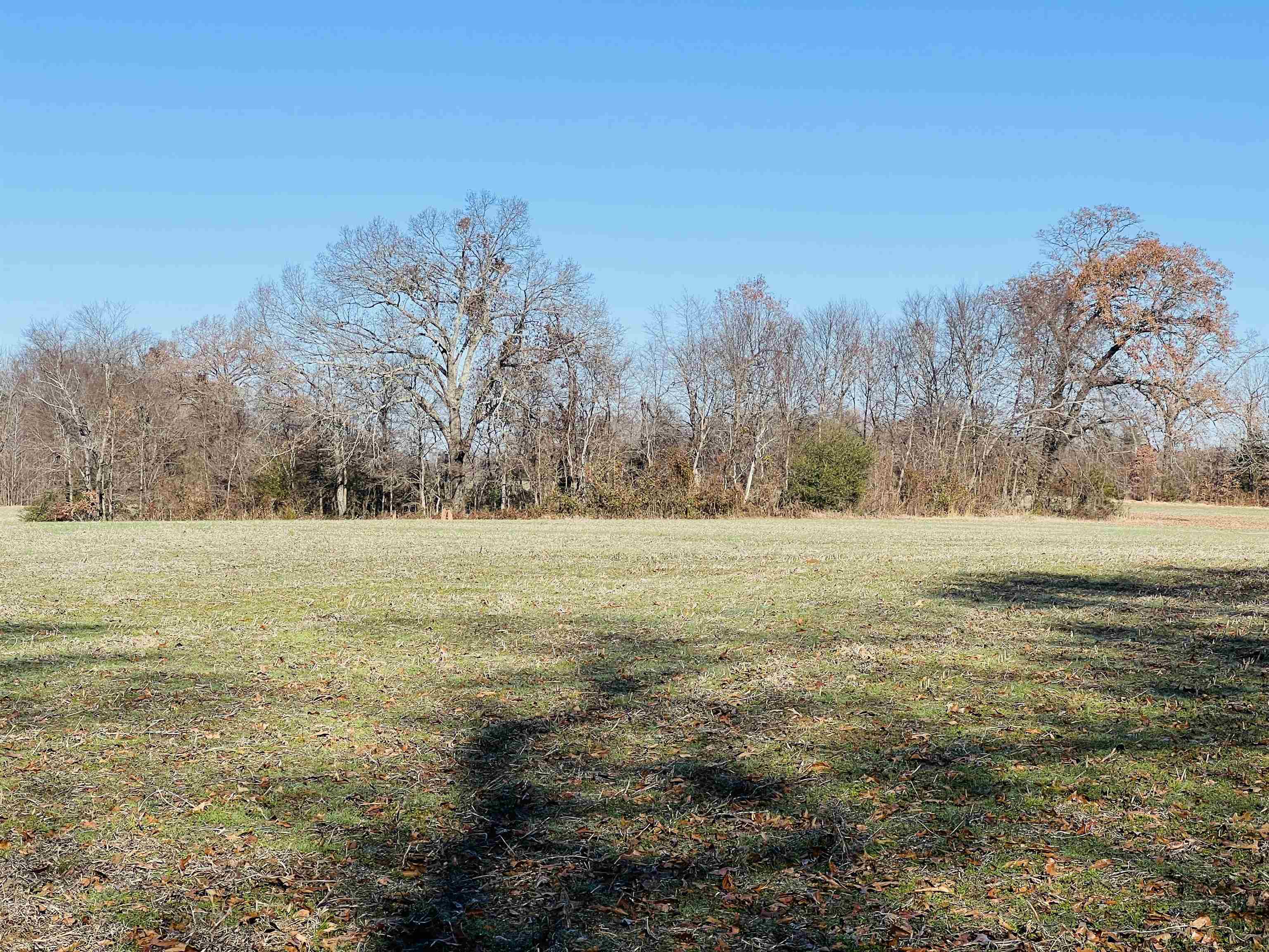 230 Crooked Creek Dr Property Photo 15