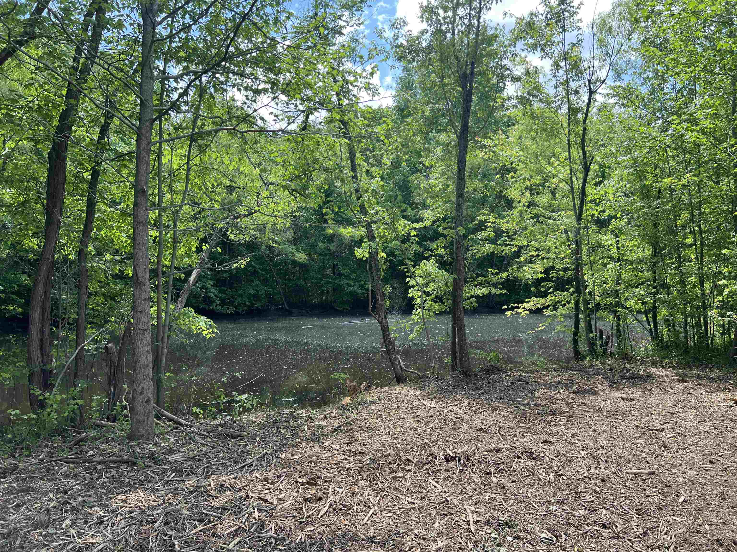 230 Crooked Creek Dr Property Photo 18