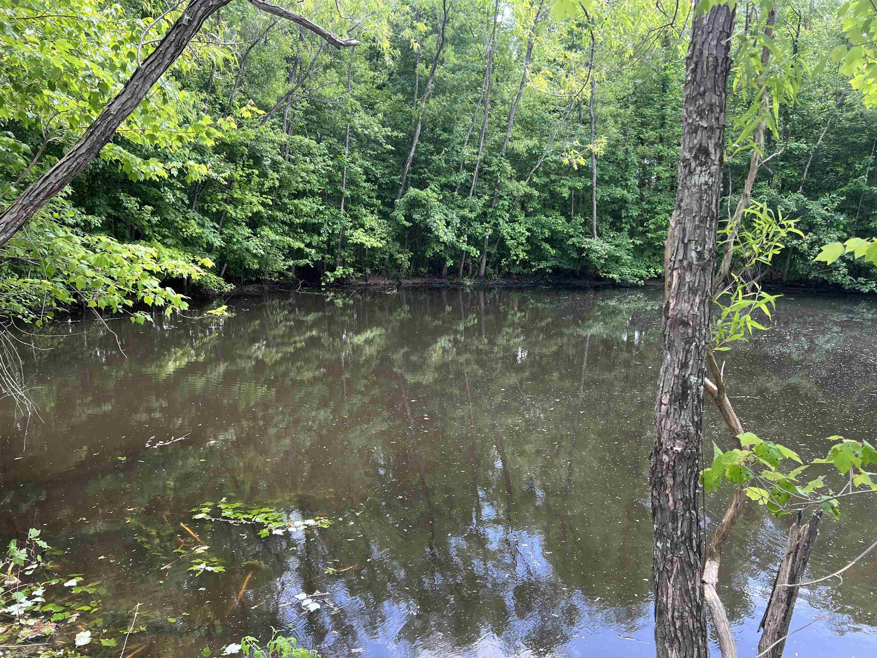 230 Crooked Creek Dr Property Photo 19