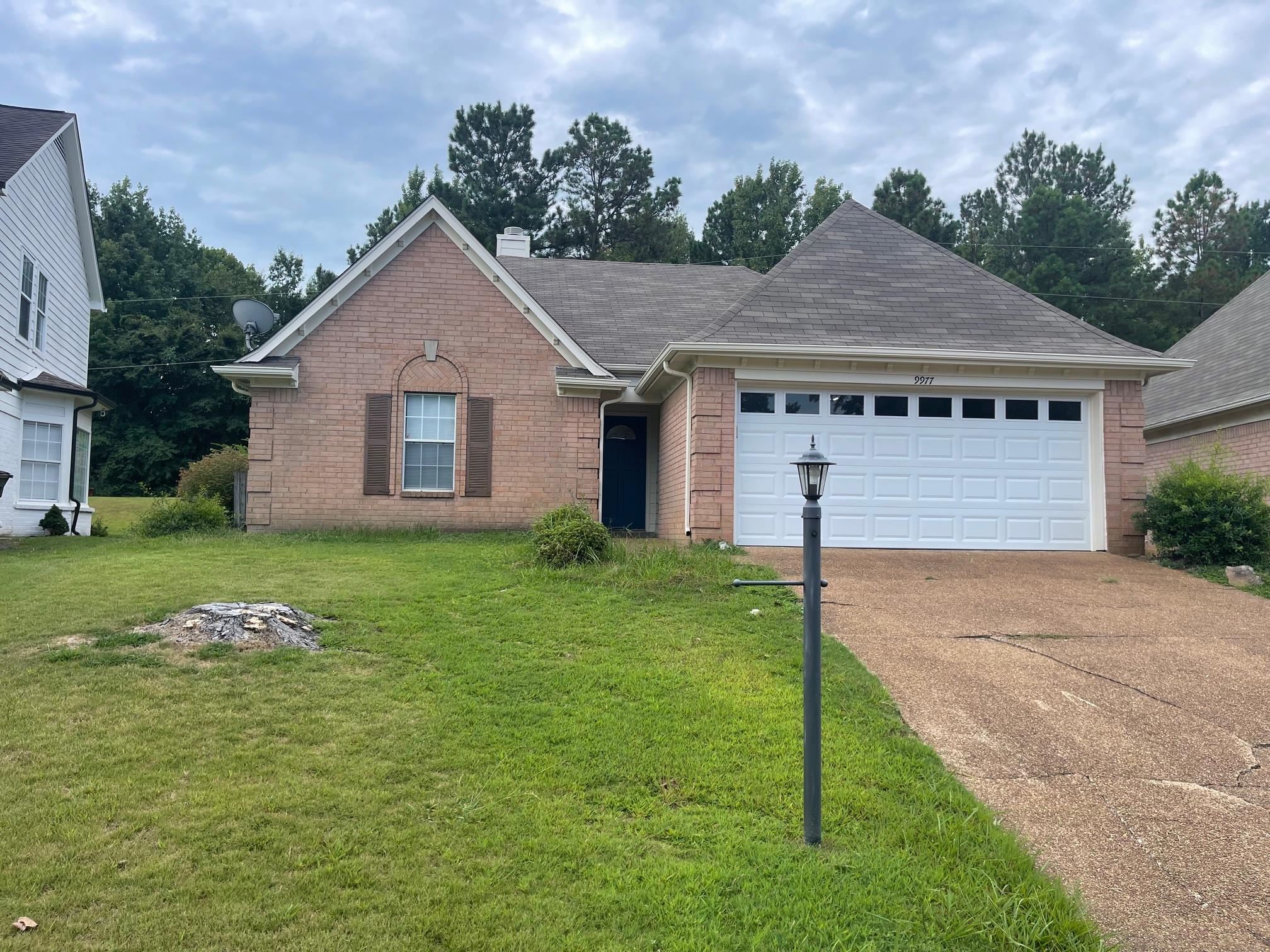 9977 Woodland Fern Dr Property Photo 1