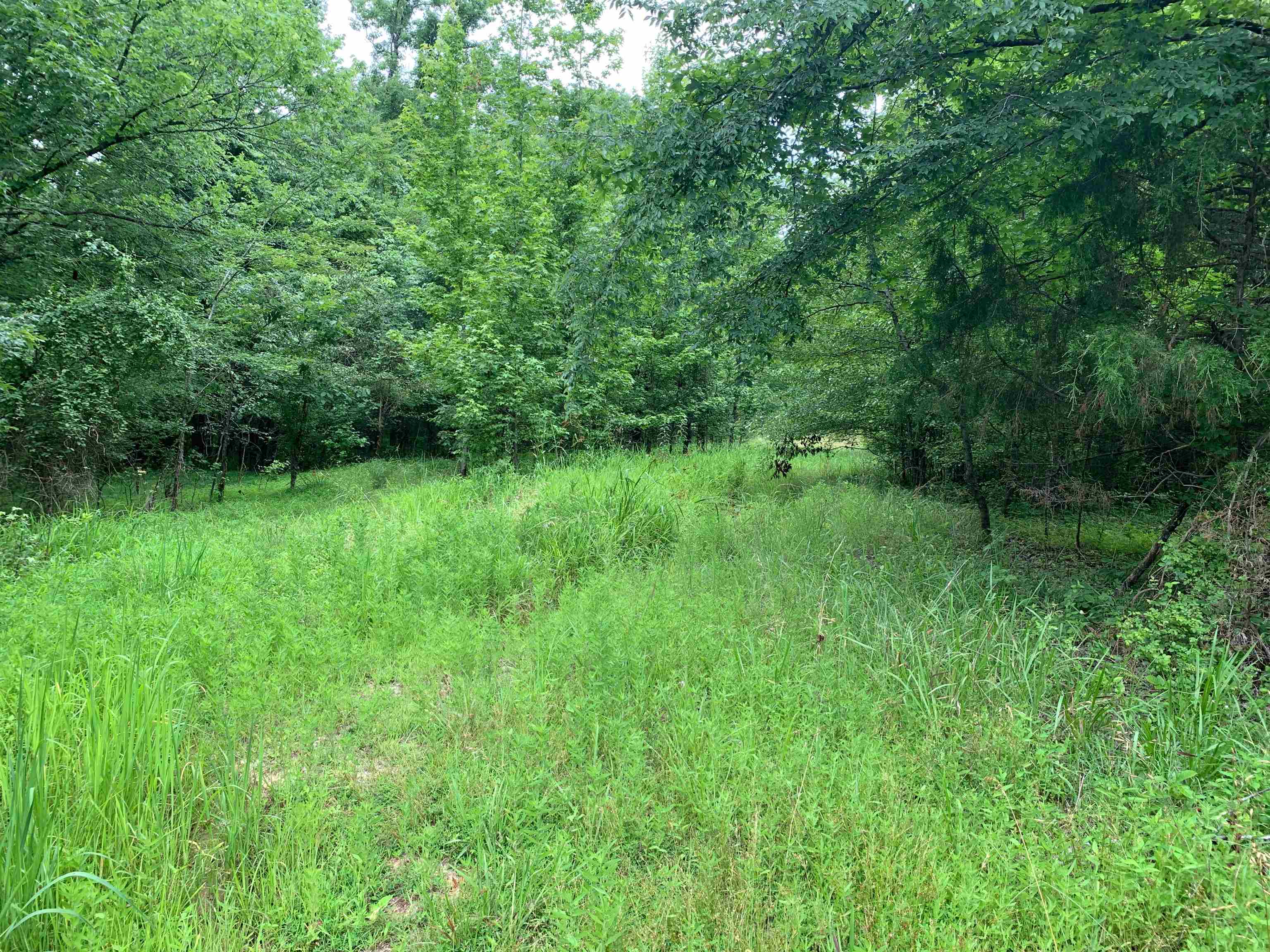 0 Harris Rd Property Photo 5