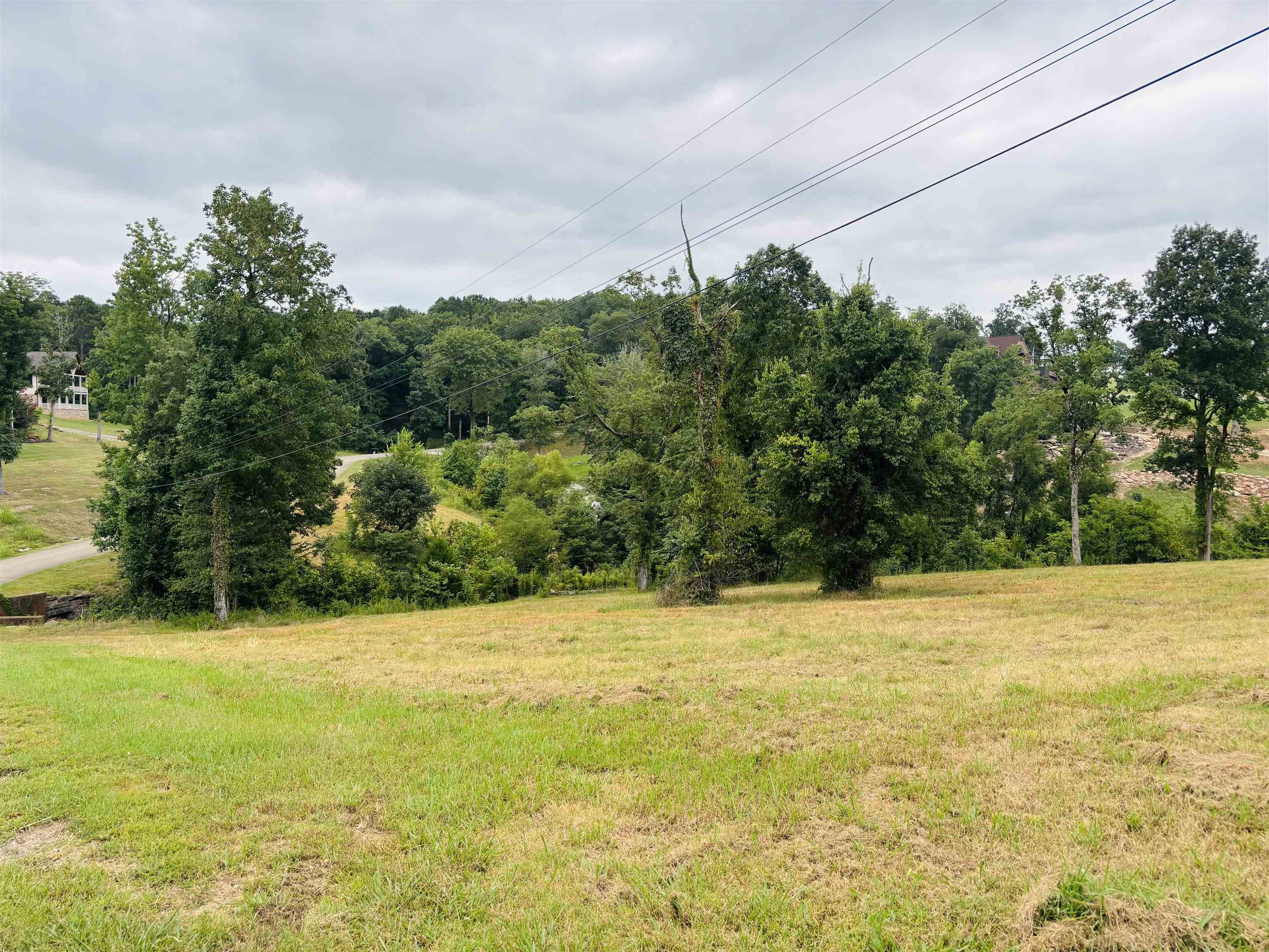 0 Rivers Edge Cir Lot 12 Property Photo 4