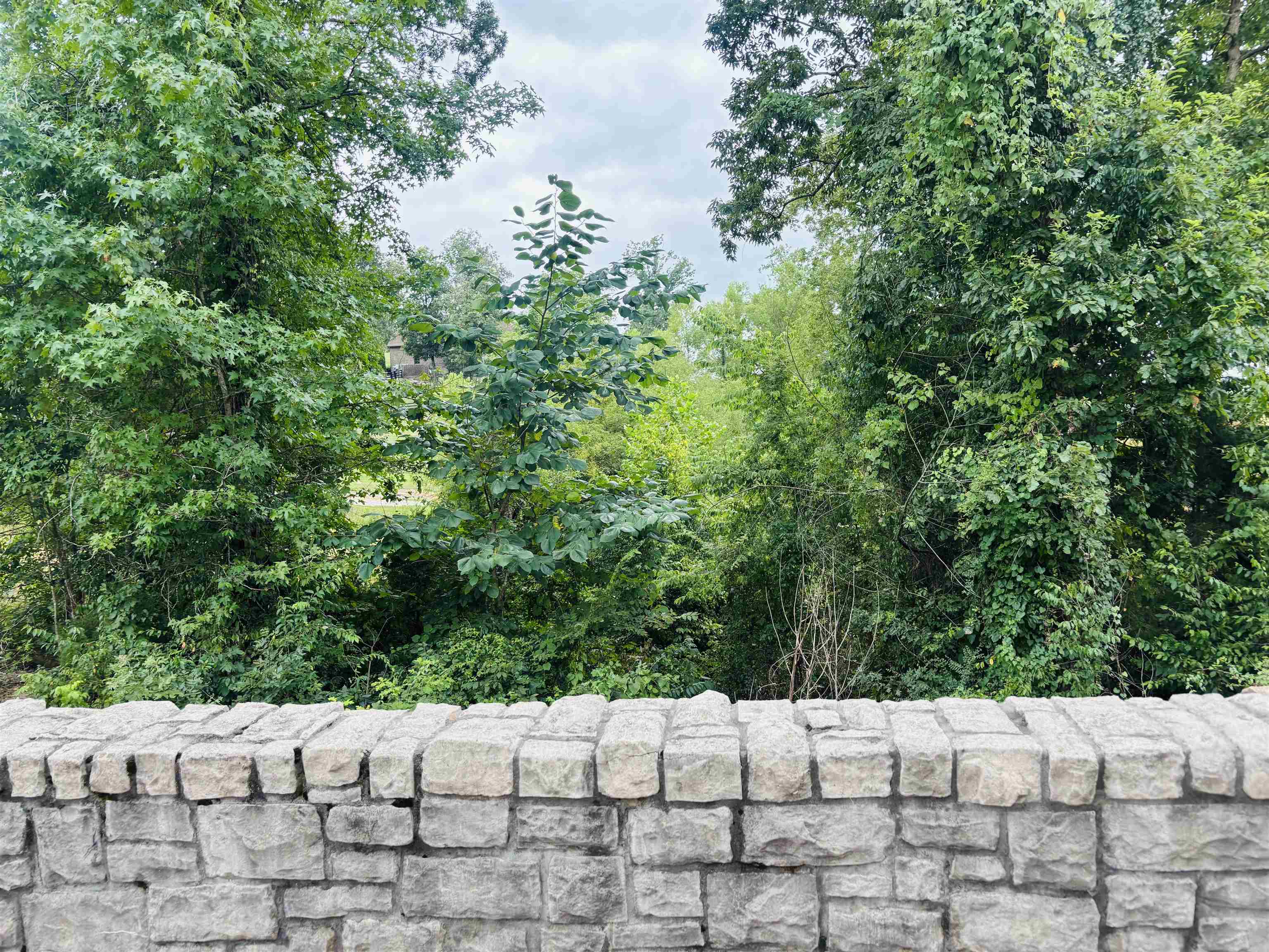 0 Rivers Edge Cir Lot 12 Property Photo 11